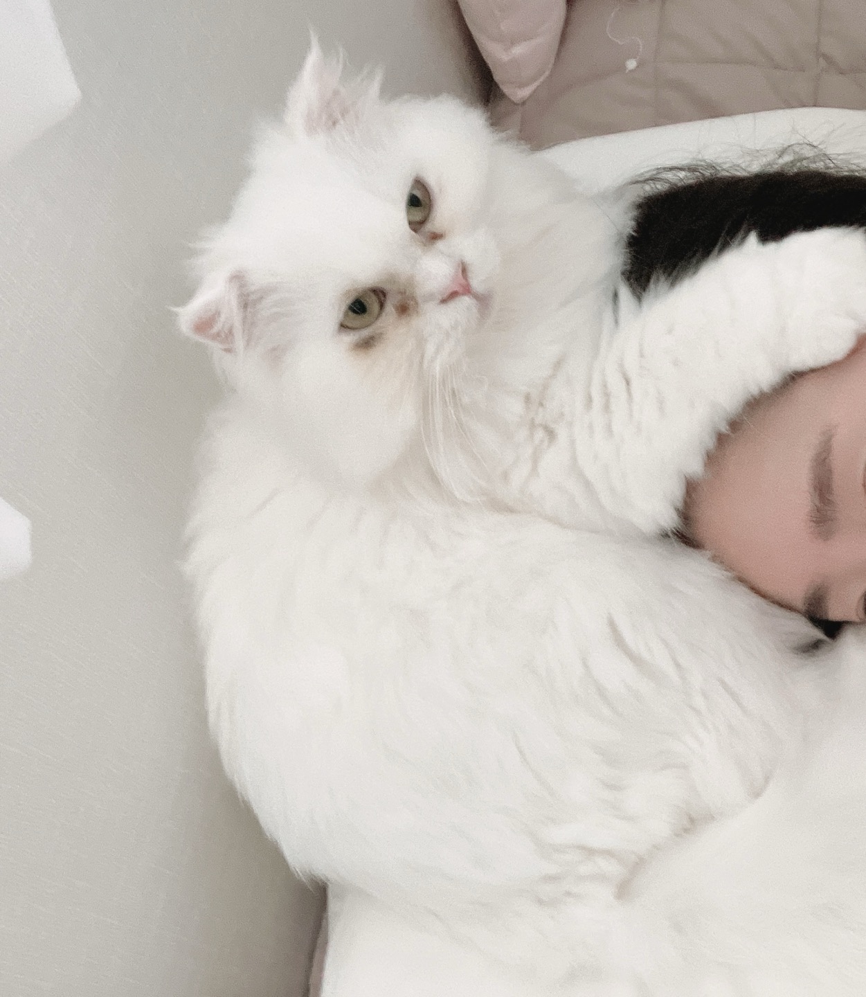 퉁퉁이(샤브)의 한달