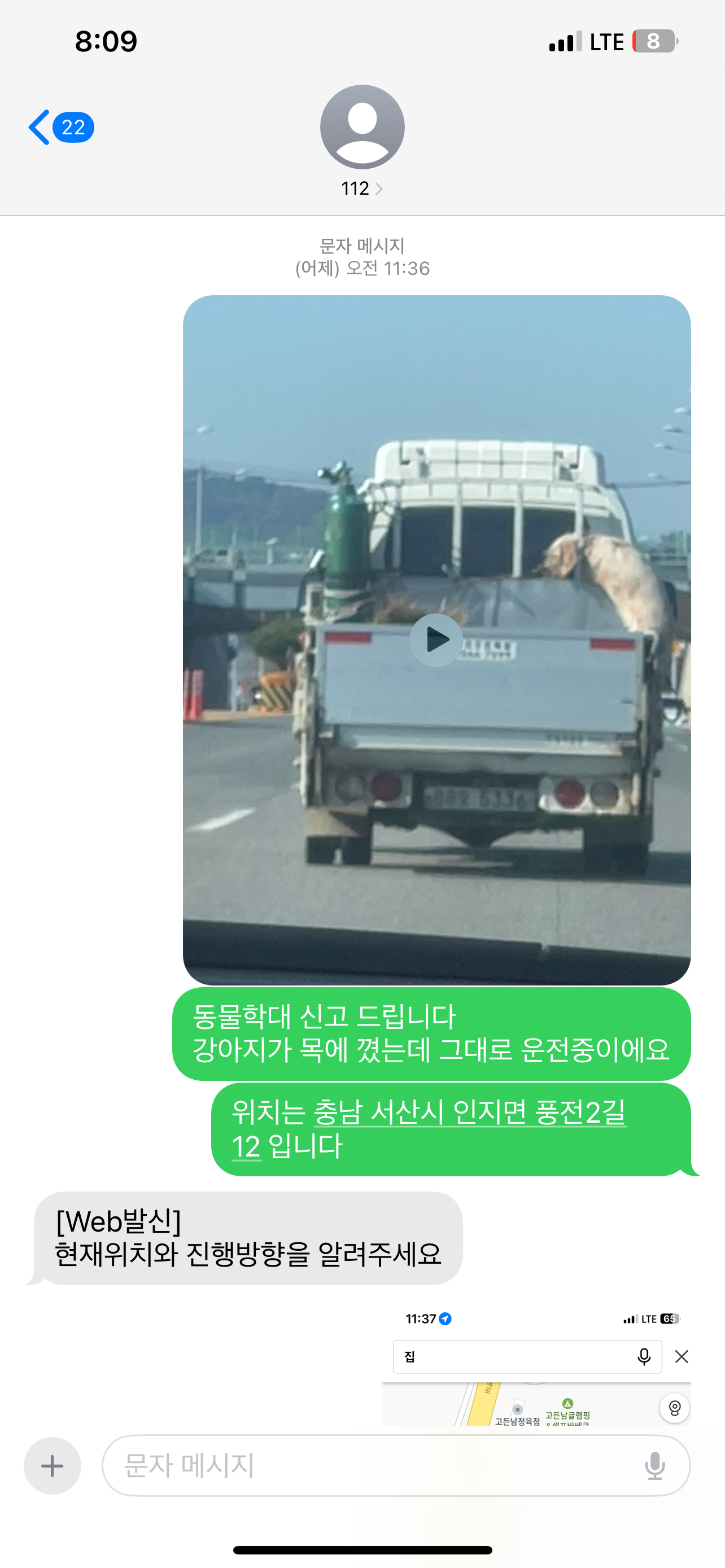 도로 주행 중 학대 의심