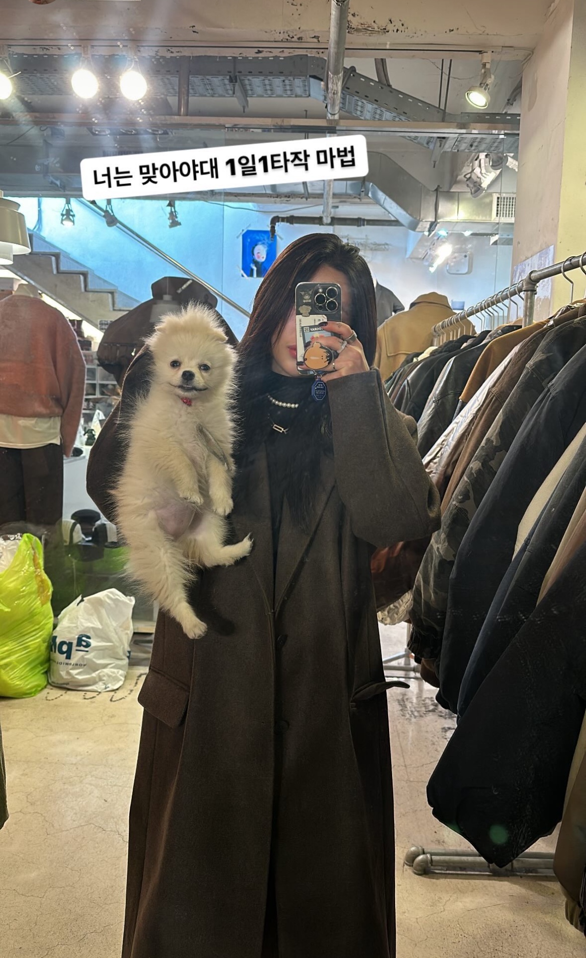 강아지학대가 이루어지고있는 것 같습니다