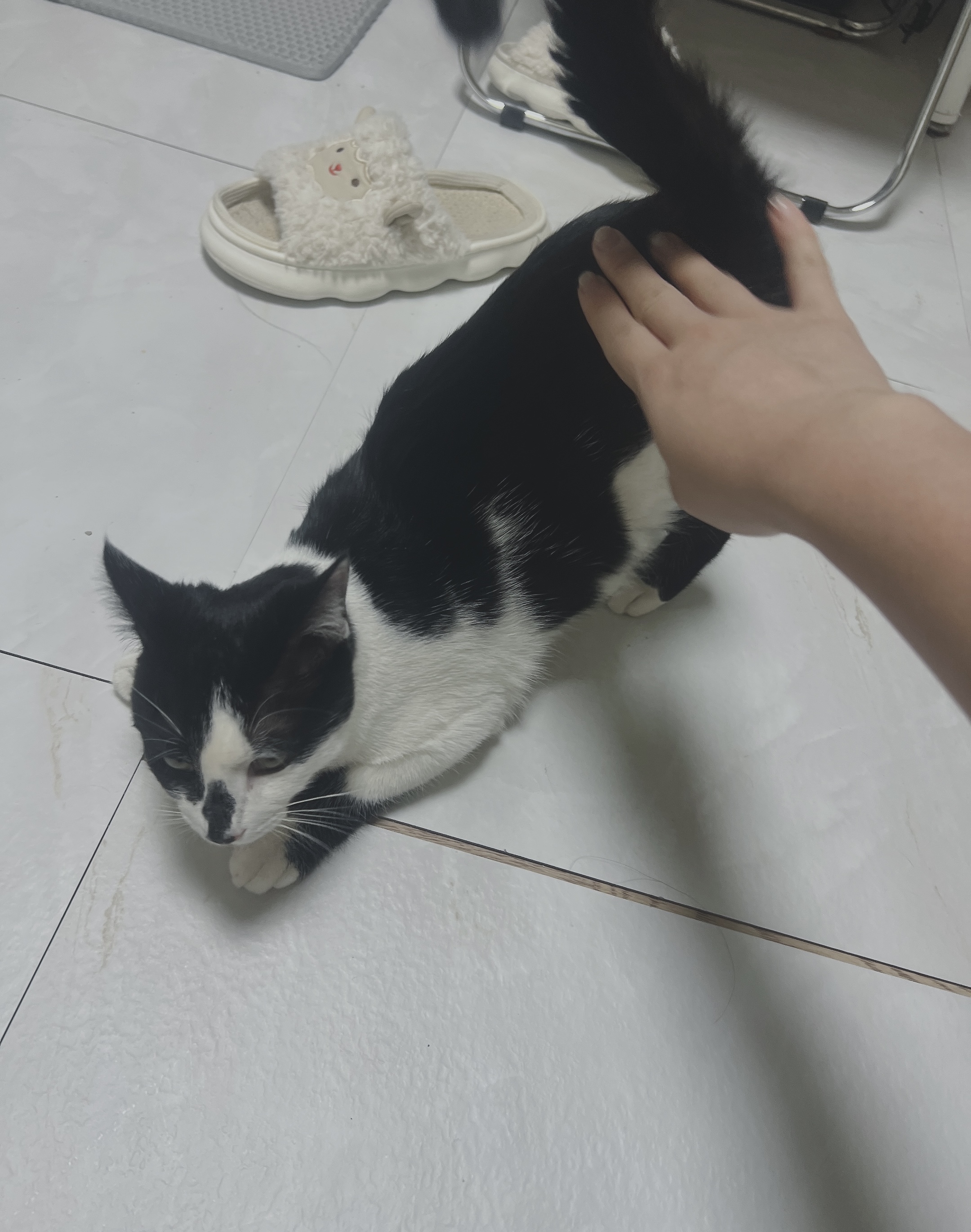 세자(뚝딱이)와 한달