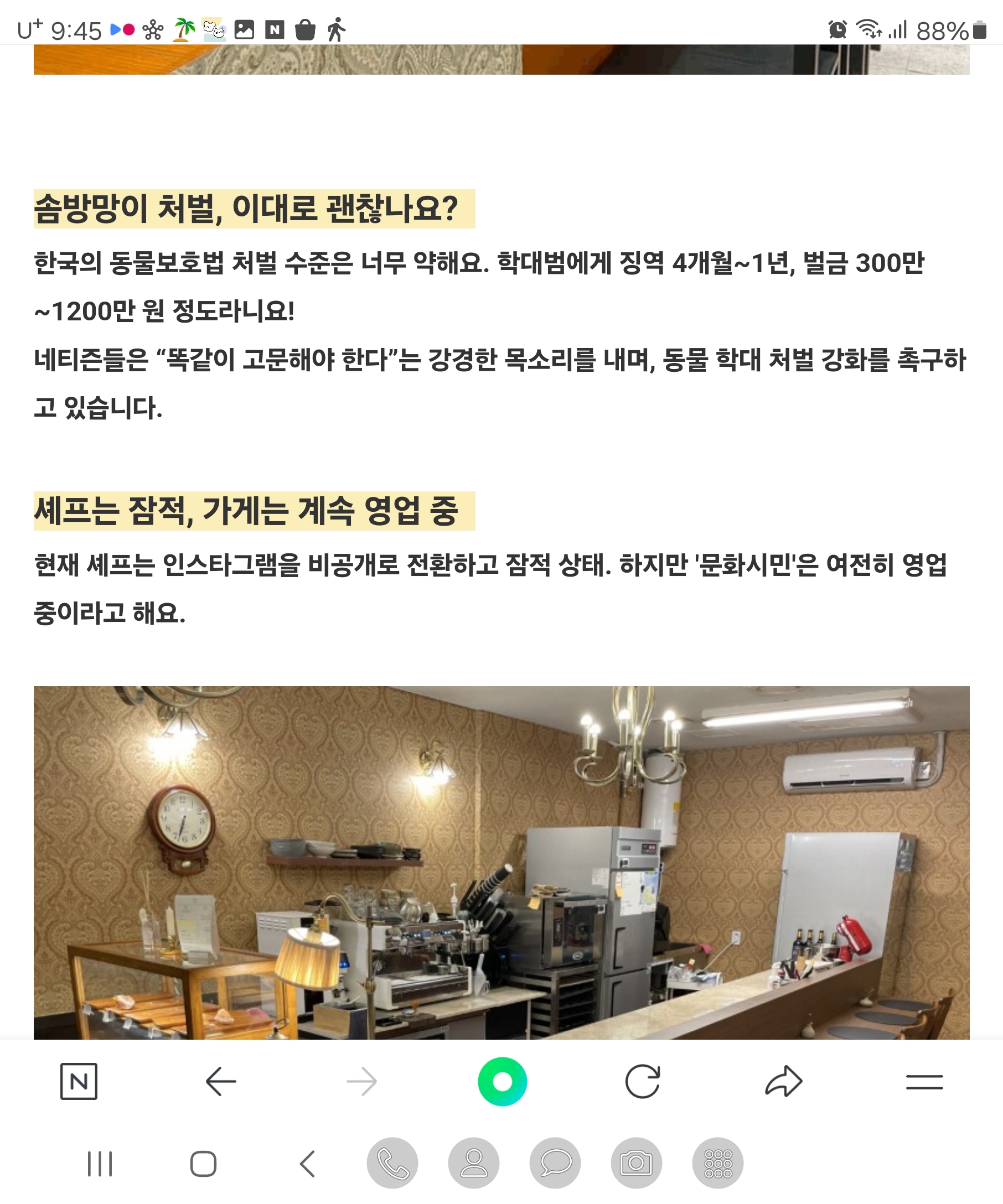 천안 고양이 학대