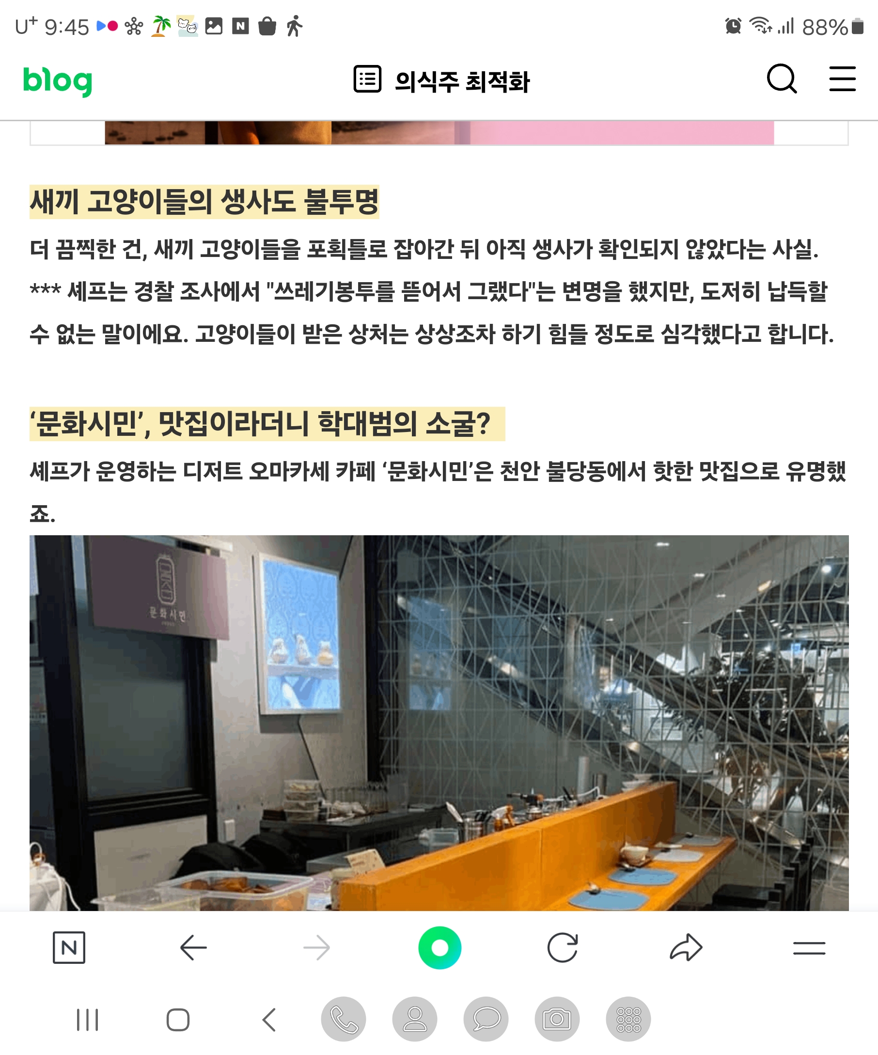 천안 고양이 학대
