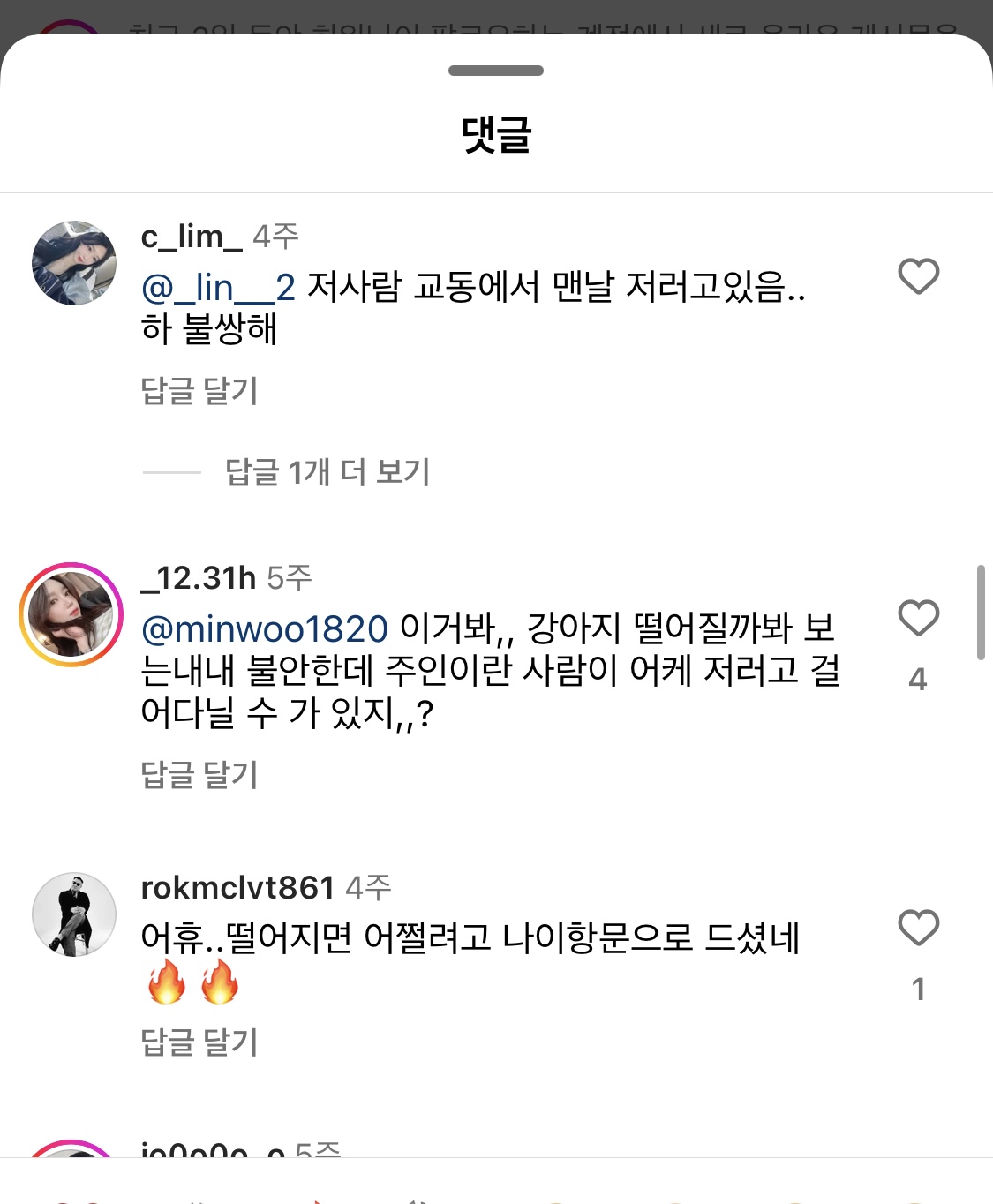 강아지 학대 