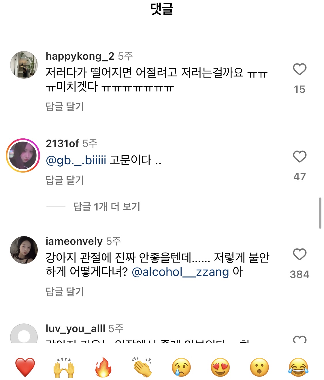 강아지 학대 