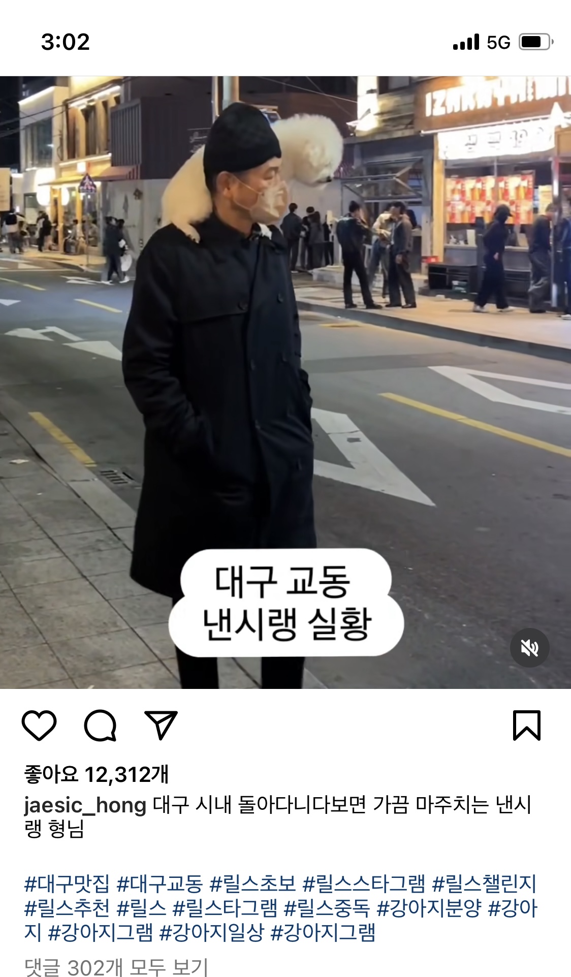 강아지 학대 