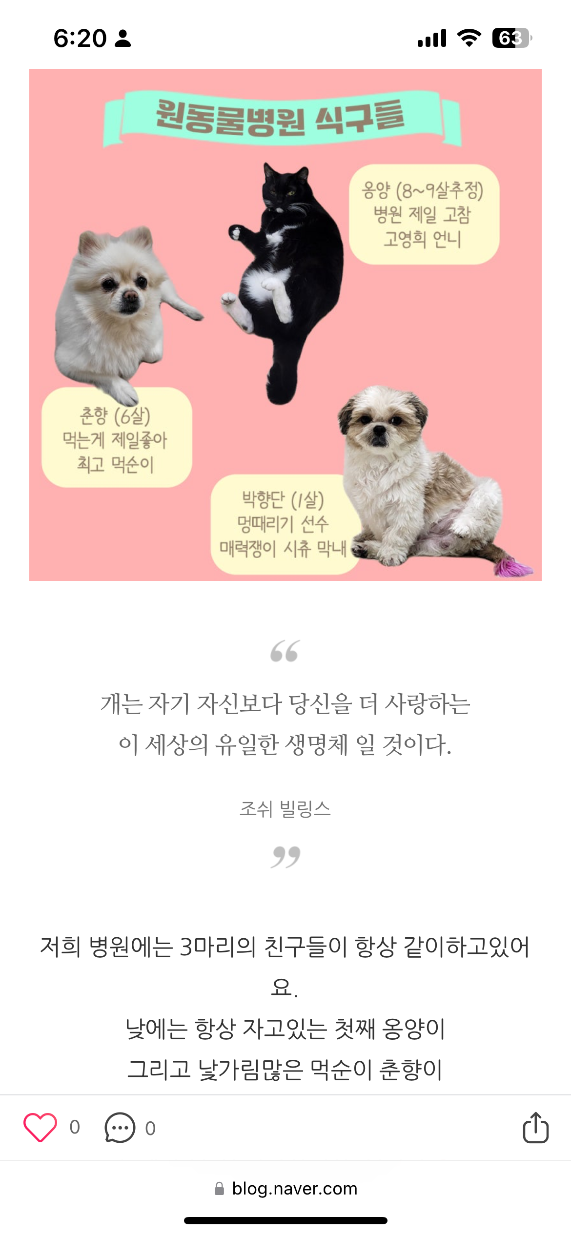 동물병원에 혼자있는 강아지