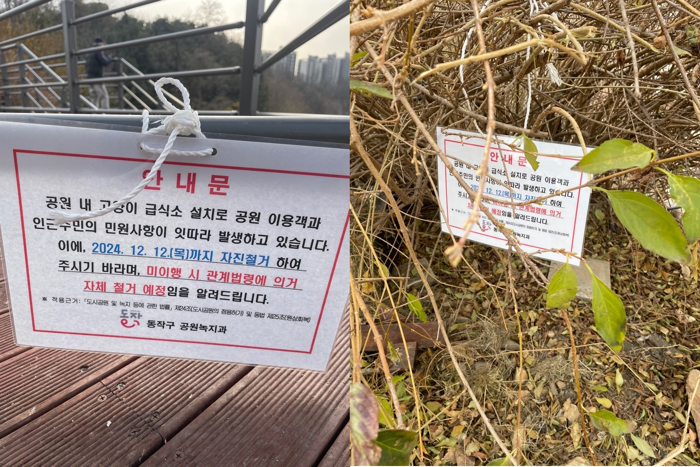동작구 상도동 근린공원 내 고양이집 강제철거되었습니다.