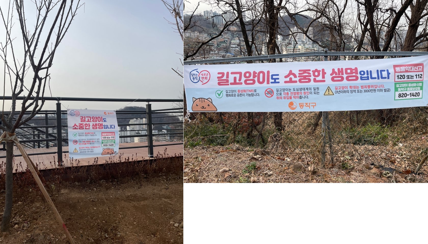 동작구 상도동 근린공원 내 고양이집 강제철거되었습니다.