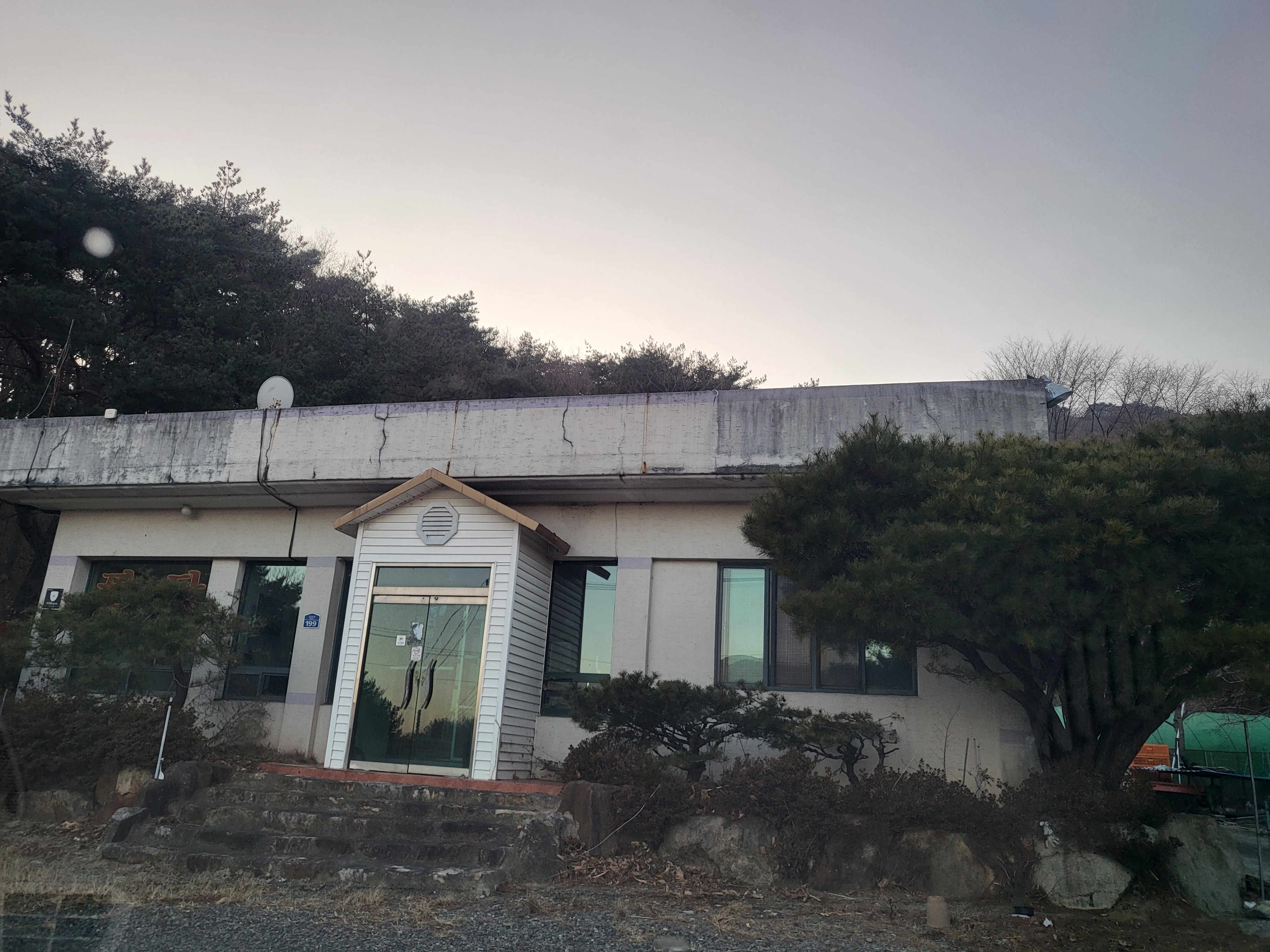 추운겨울 공터에 방치 된 개 2마리