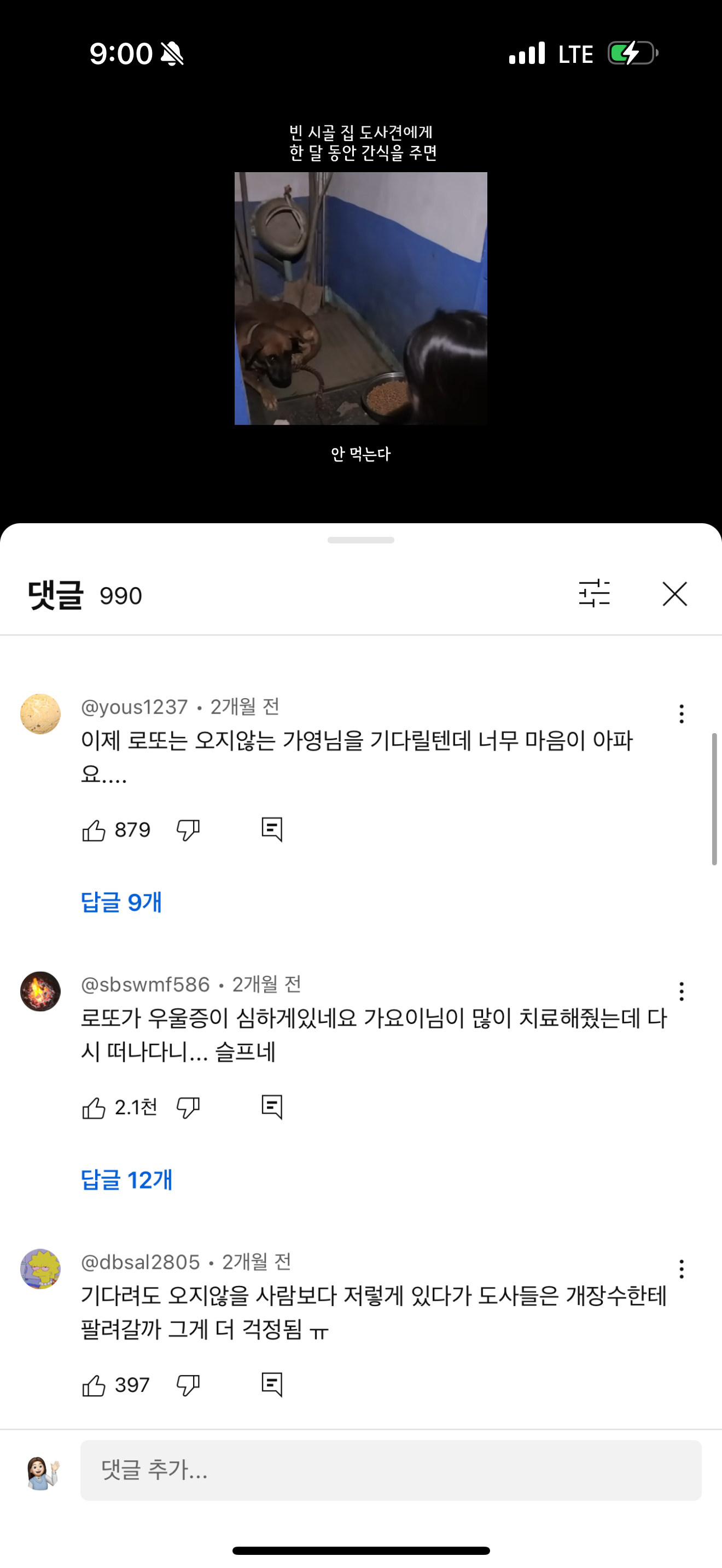 73만 유튜버 가요이 시골 개 콘텐츠 제작 후 빈집 방치 https://youtube.com/shorts/2bvLrPUDc3s?si=7n8331n4NwaibCVz