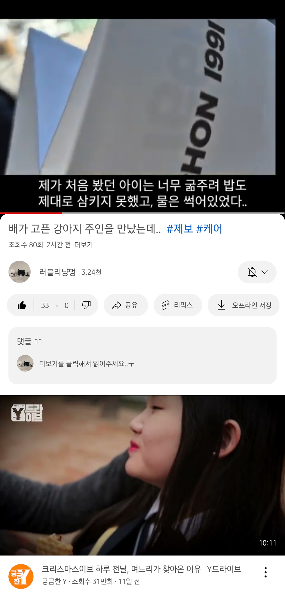강아지를 묶어만 두고 방치하고 있습니다.