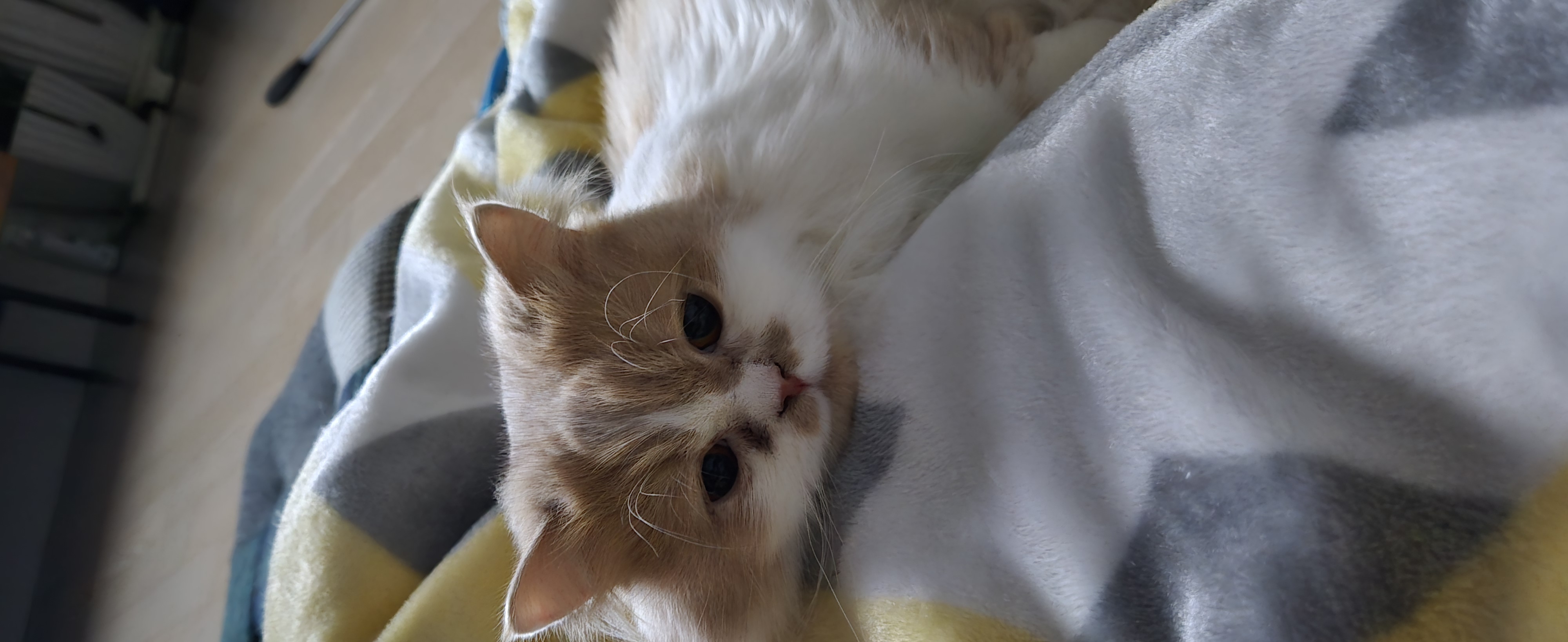 행복한 일상~^^