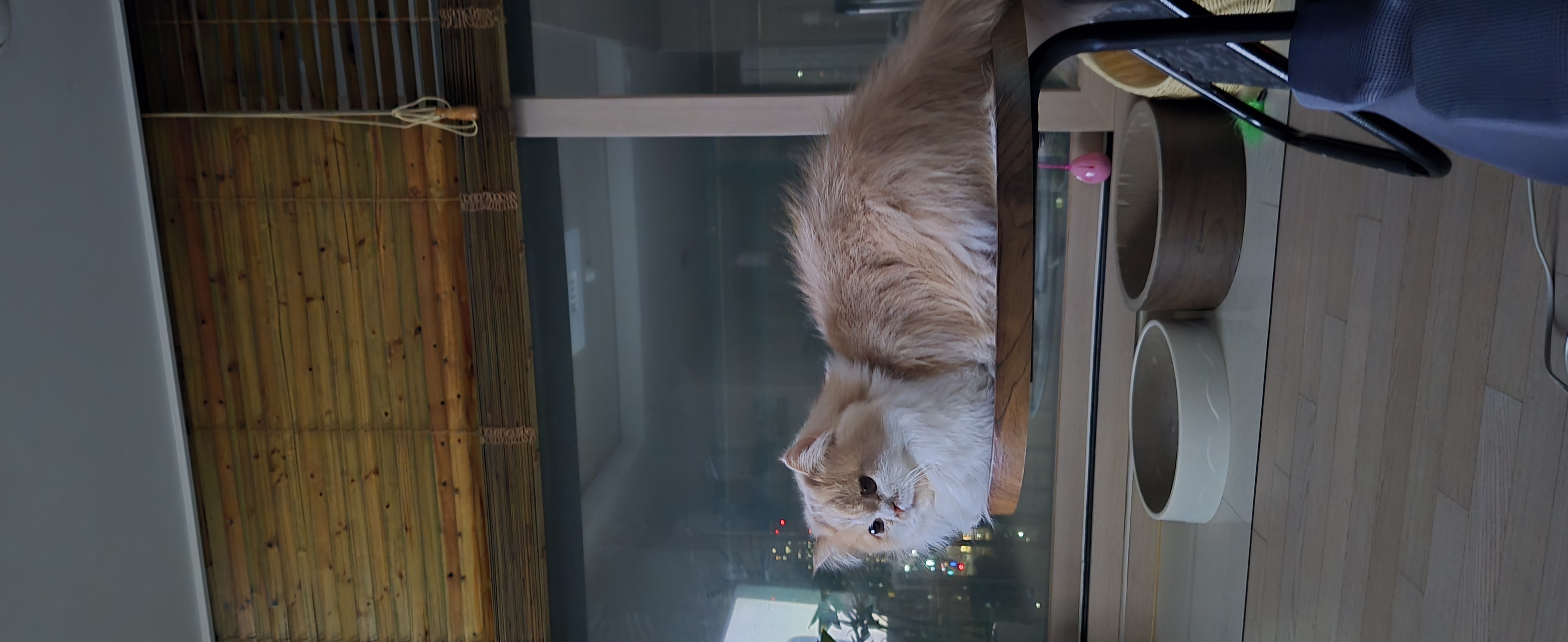 행복한 일상~^^