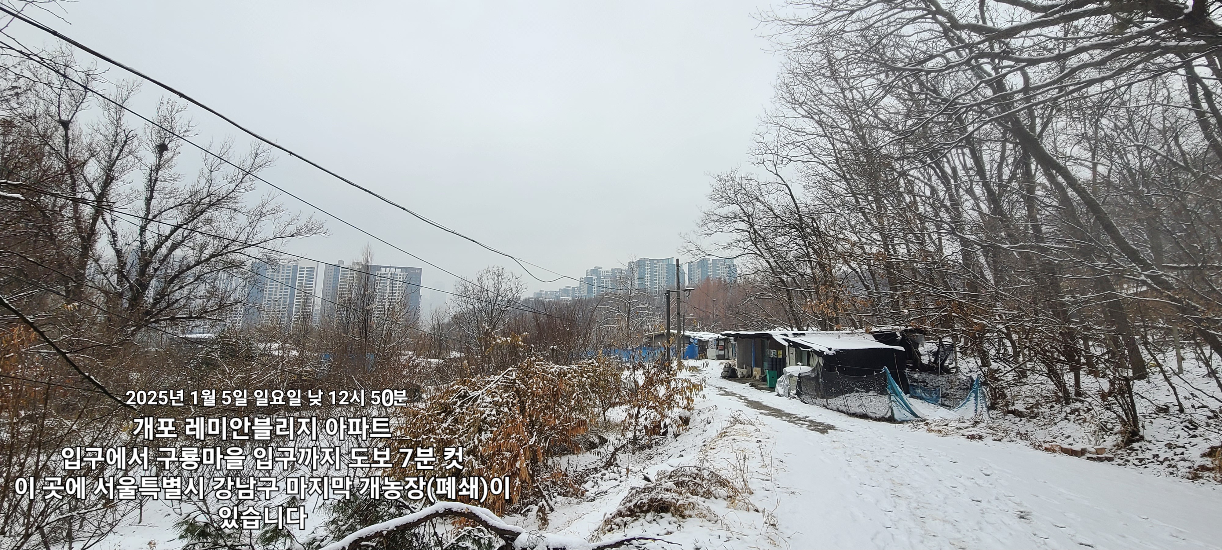 구조제보: 서울특별시 강남구 개포동 폐쇄 개농장 잔류 아이들 살려주세요 ㅠㅠ 