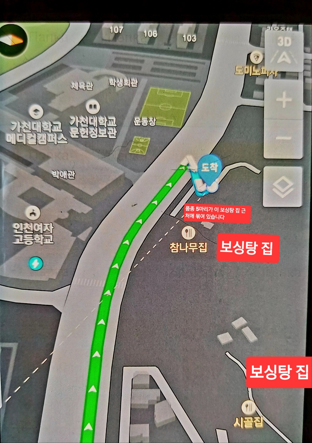 보신탕 집에서 키우는 5마리