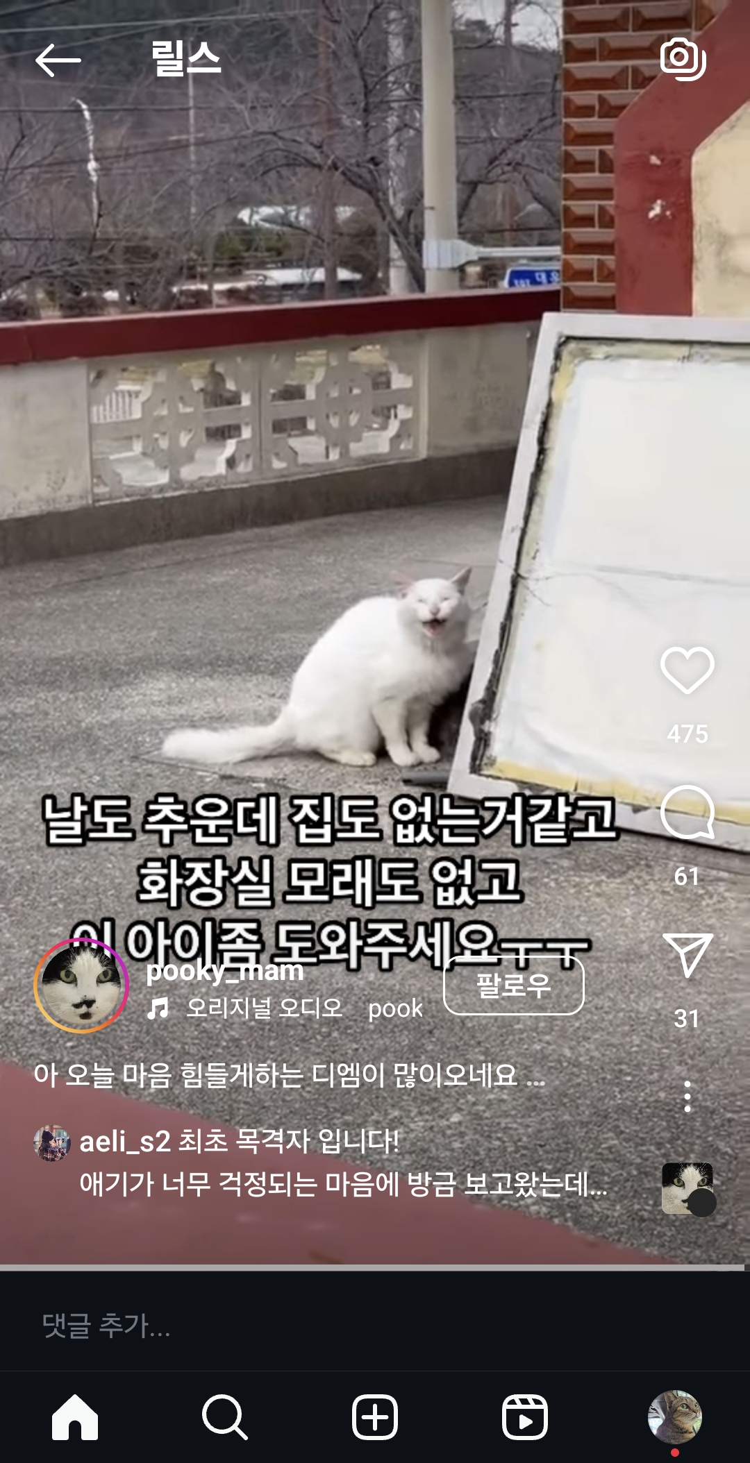 한파에 야외에 짧은줄에 묶여있는 고양이
