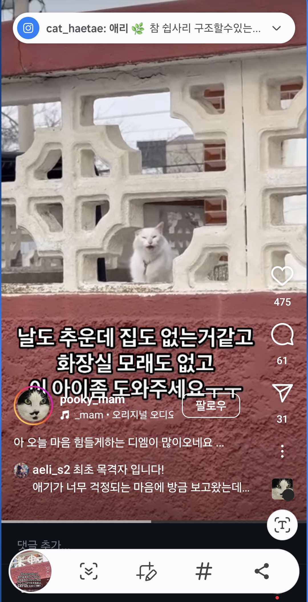 한파에 야외에 짧은줄에 묶여있는 고양이