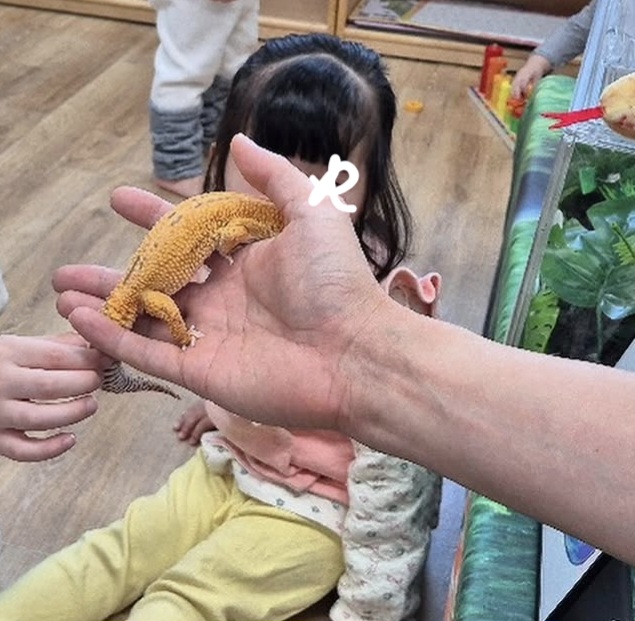 어린이집 동물체험 막아주세요