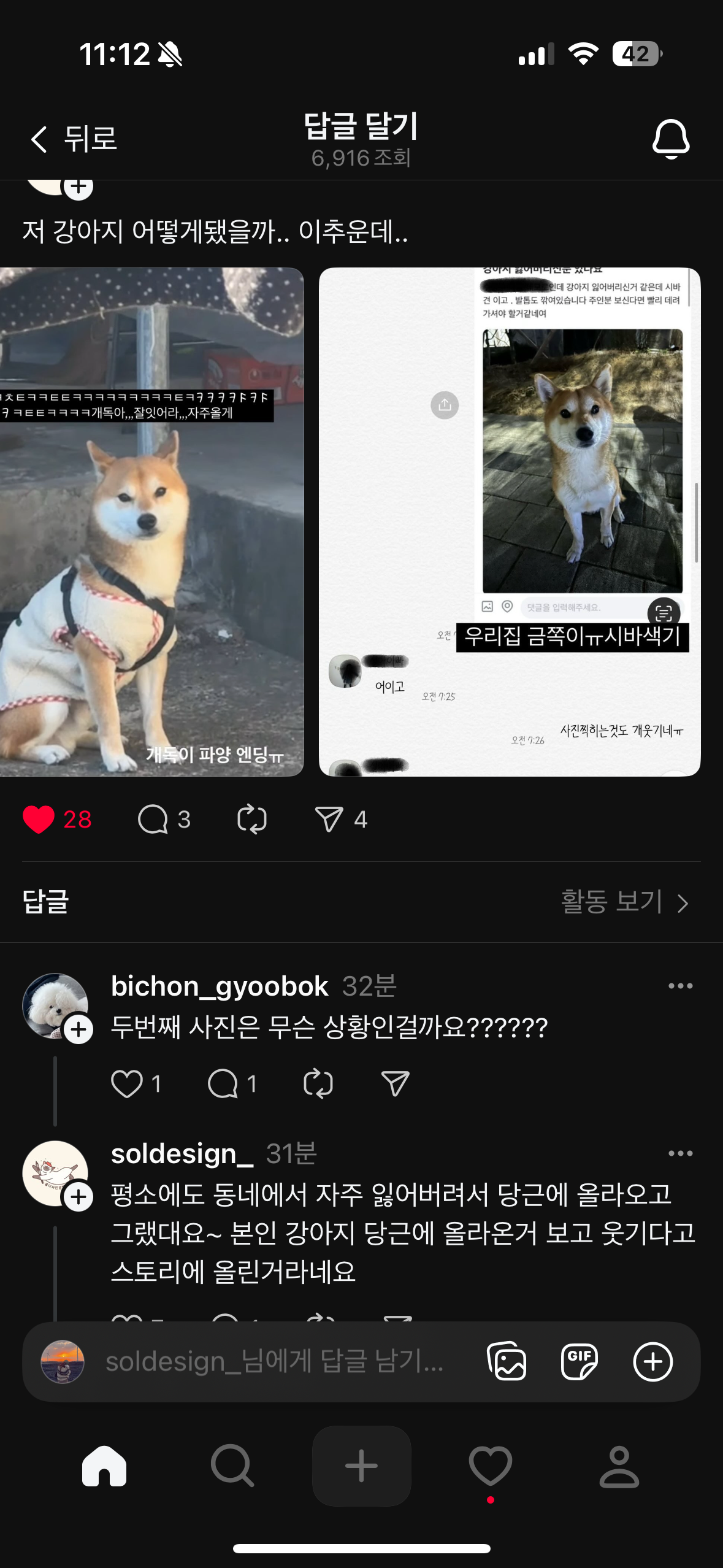 sns로 시바견을 확대 방치 정황이 보여 신고합니다
