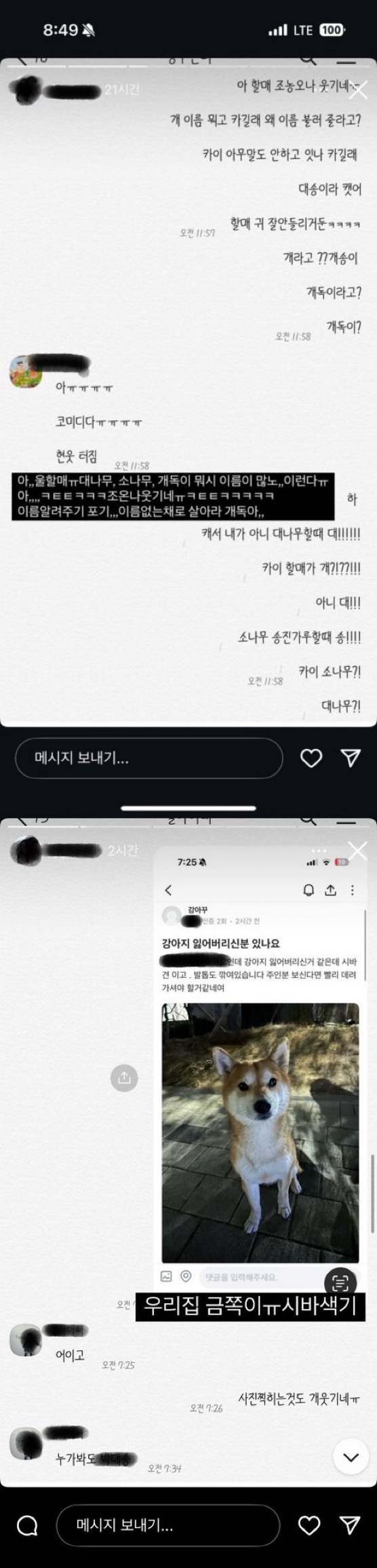 애완동물 시바견 학대, 파양한 인플루언서