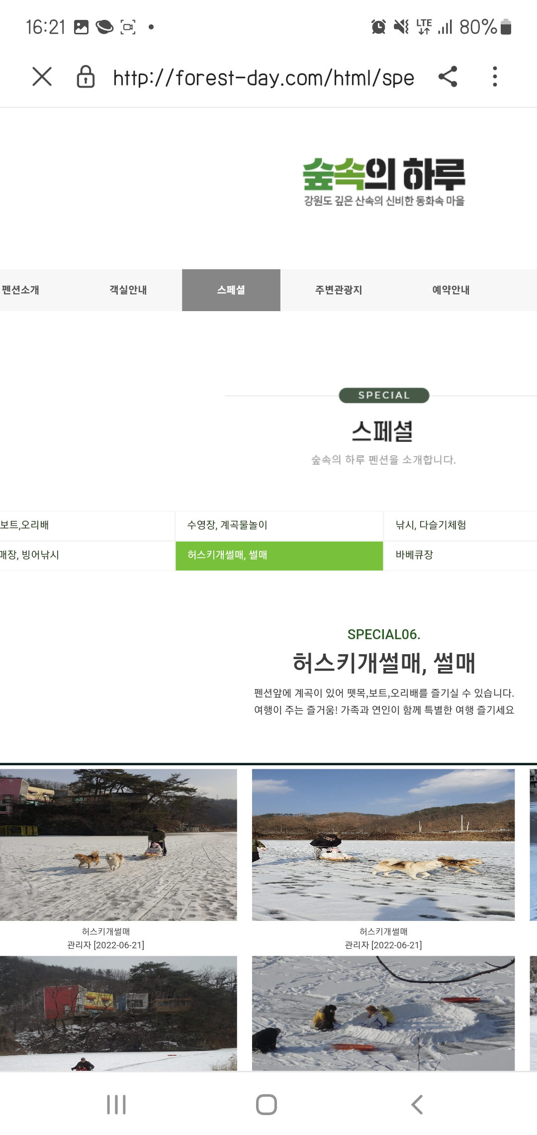 횡성 숲속의 하루 펜션에서 개썰매를 운영하고 있습니다