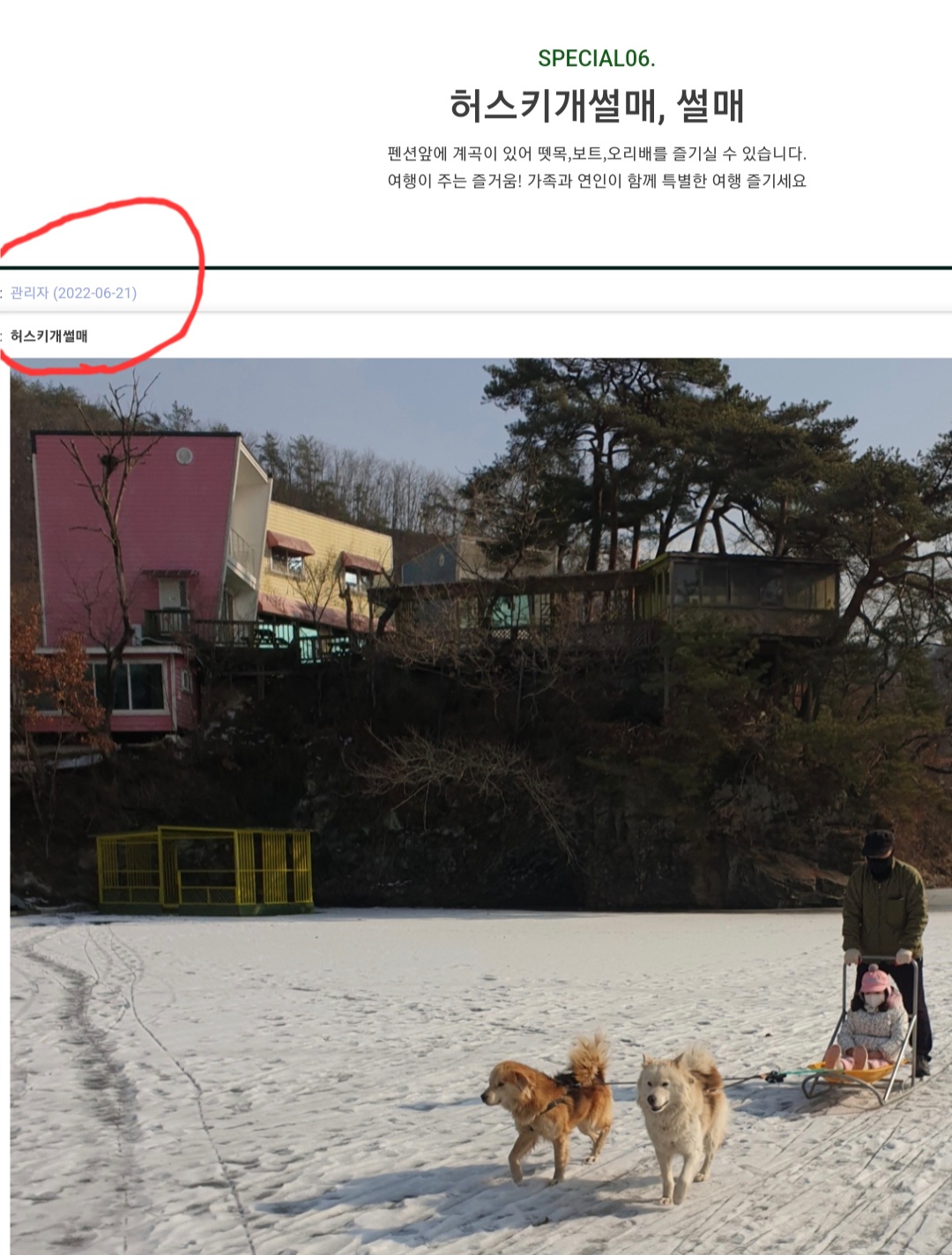 횡성 숲속의 하루 펜션에서 개썰매를 운영하고 있습니다