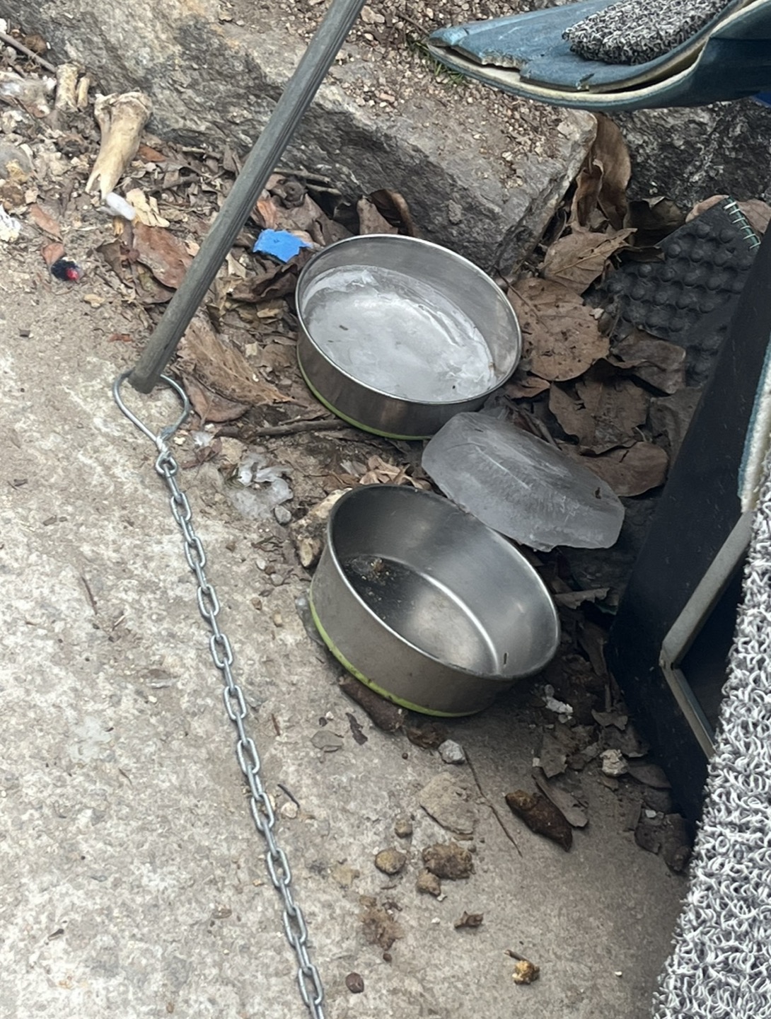 옆집 흰둥이의 고통, 그리고 변화가 필요합니다
