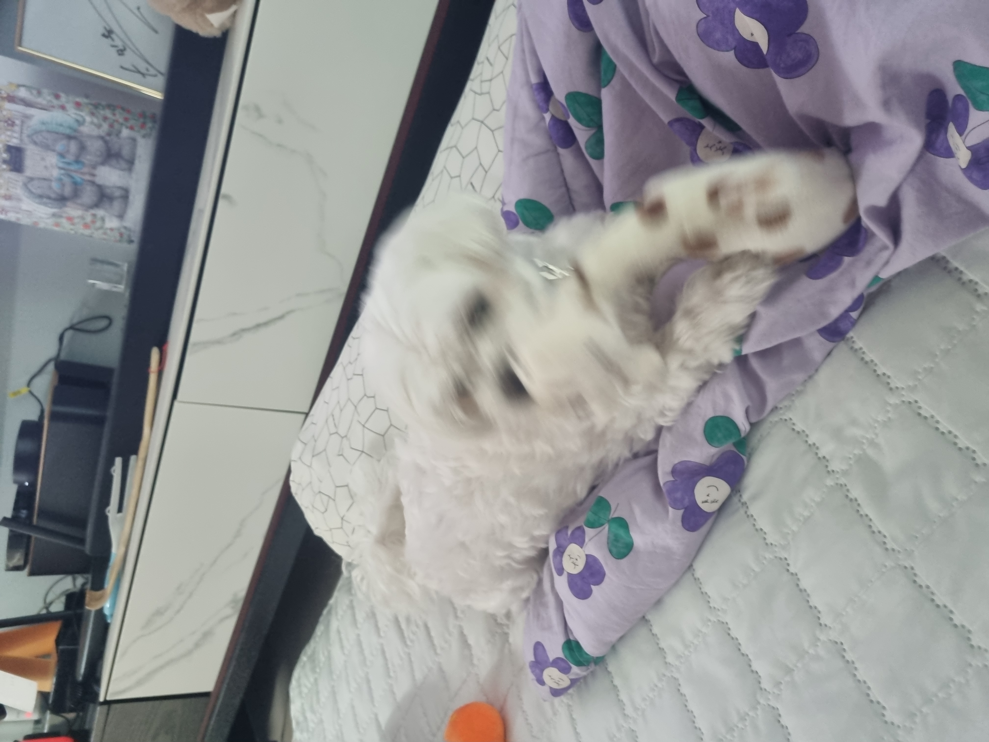 티코예요~♡