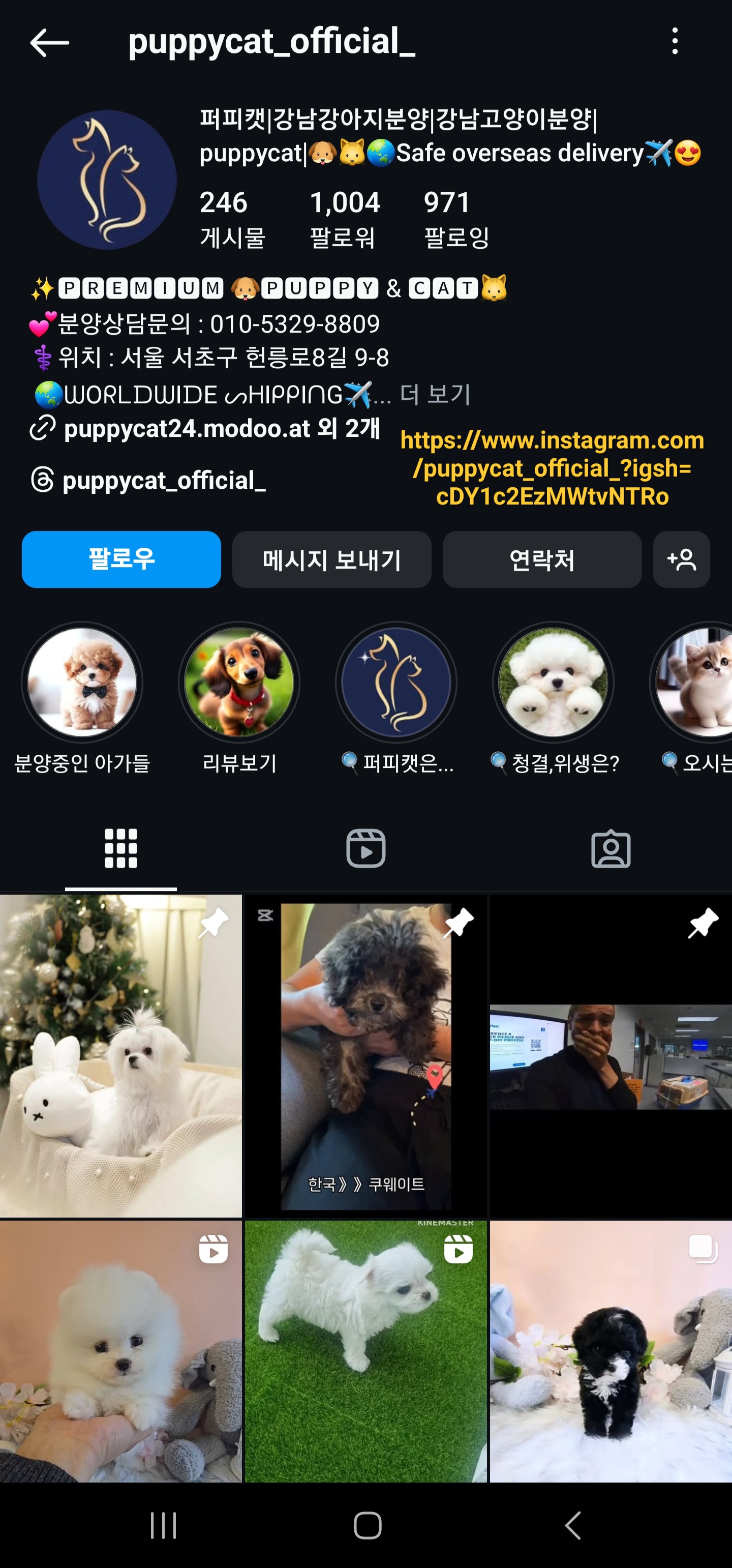 서초구 내곡동 "티컵 강아지 판매샵" 생겼네요:.,,