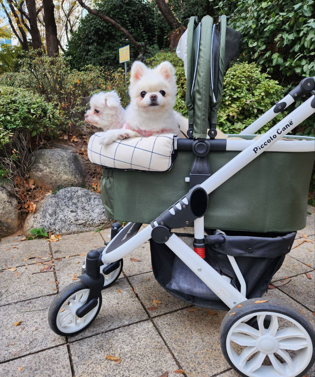 설이 소식 알려드립니다. ㅠㅠ
