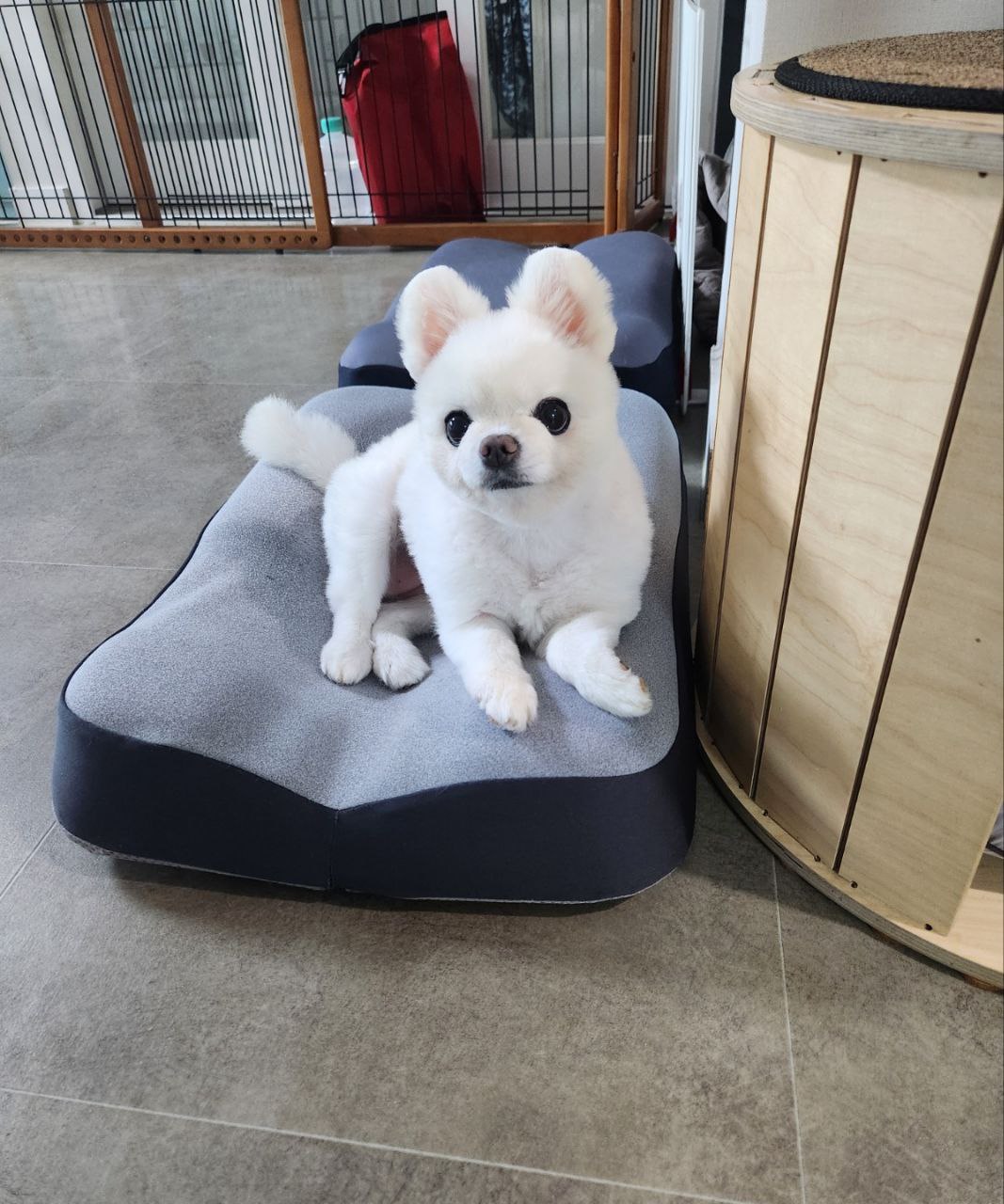 설이 소식 알려드립니다. ㅠㅠ
