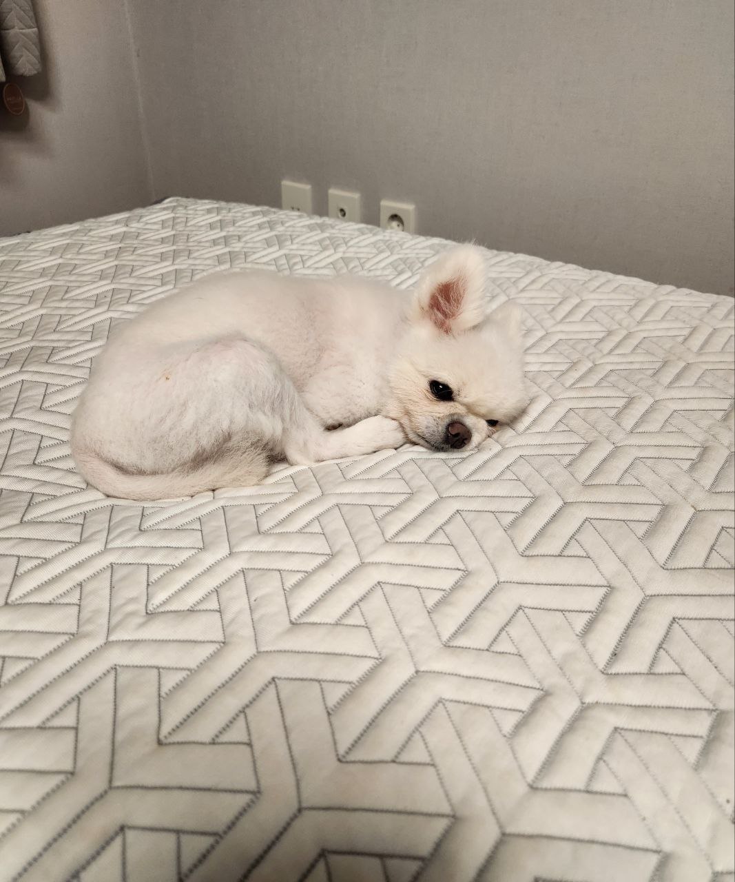 설이 소식 알려드립니다. ㅠㅠ