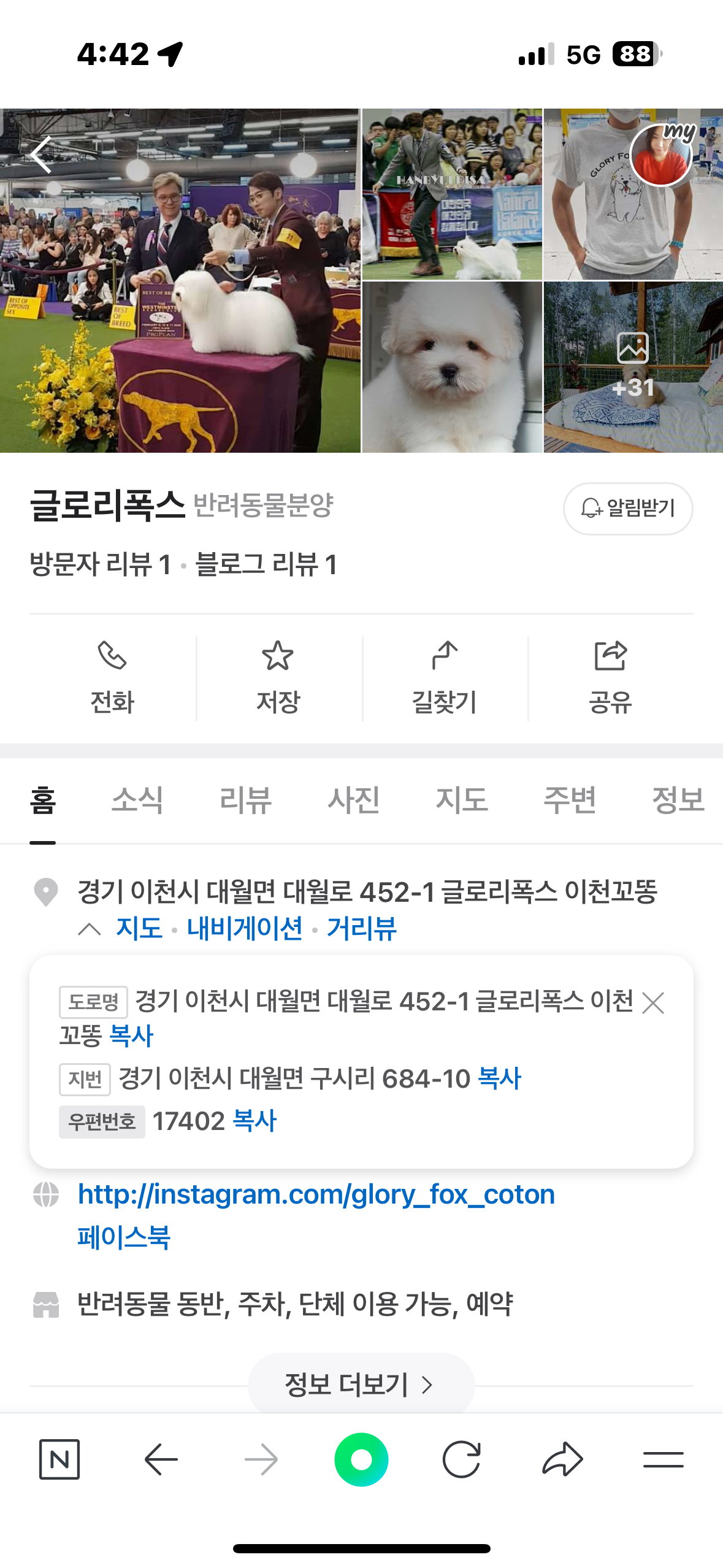 강아지들이 방치되고있어서 문의드려요 