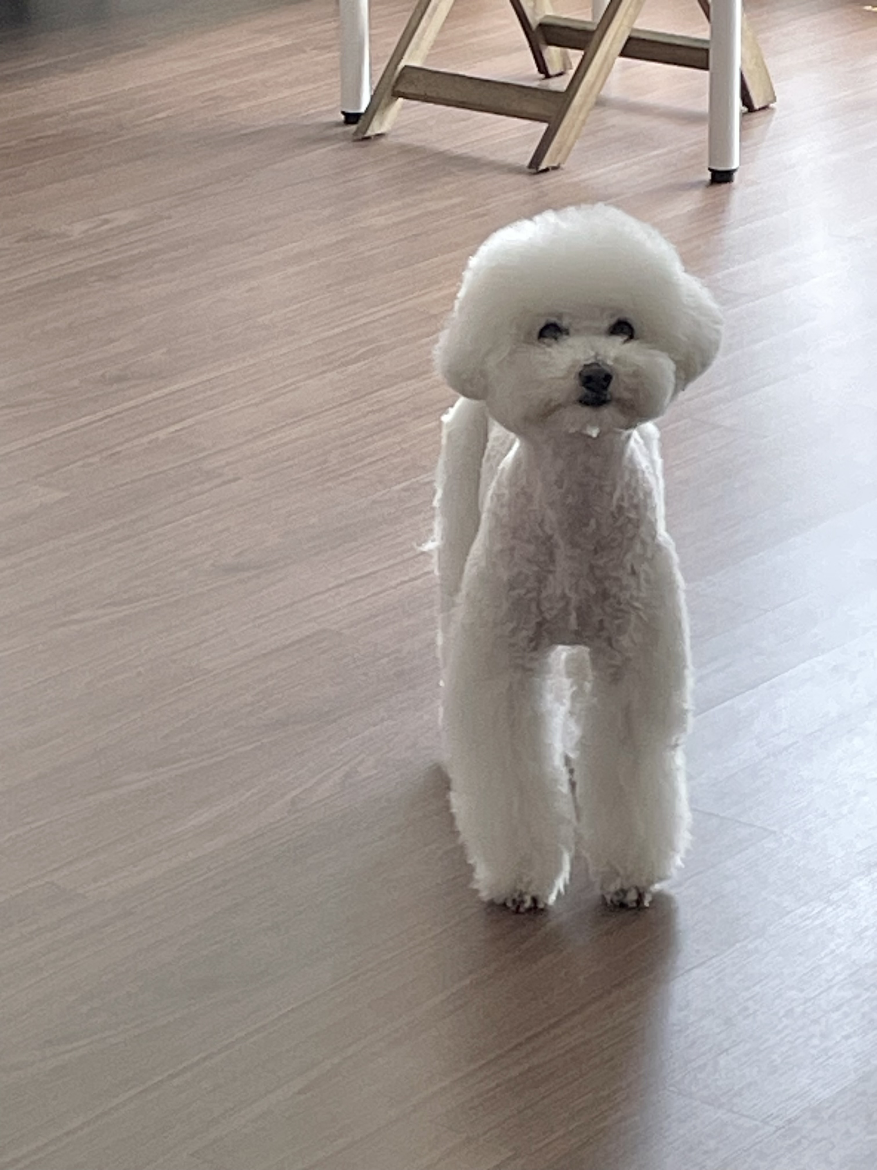 말랑이 잘 지내고 있어요!