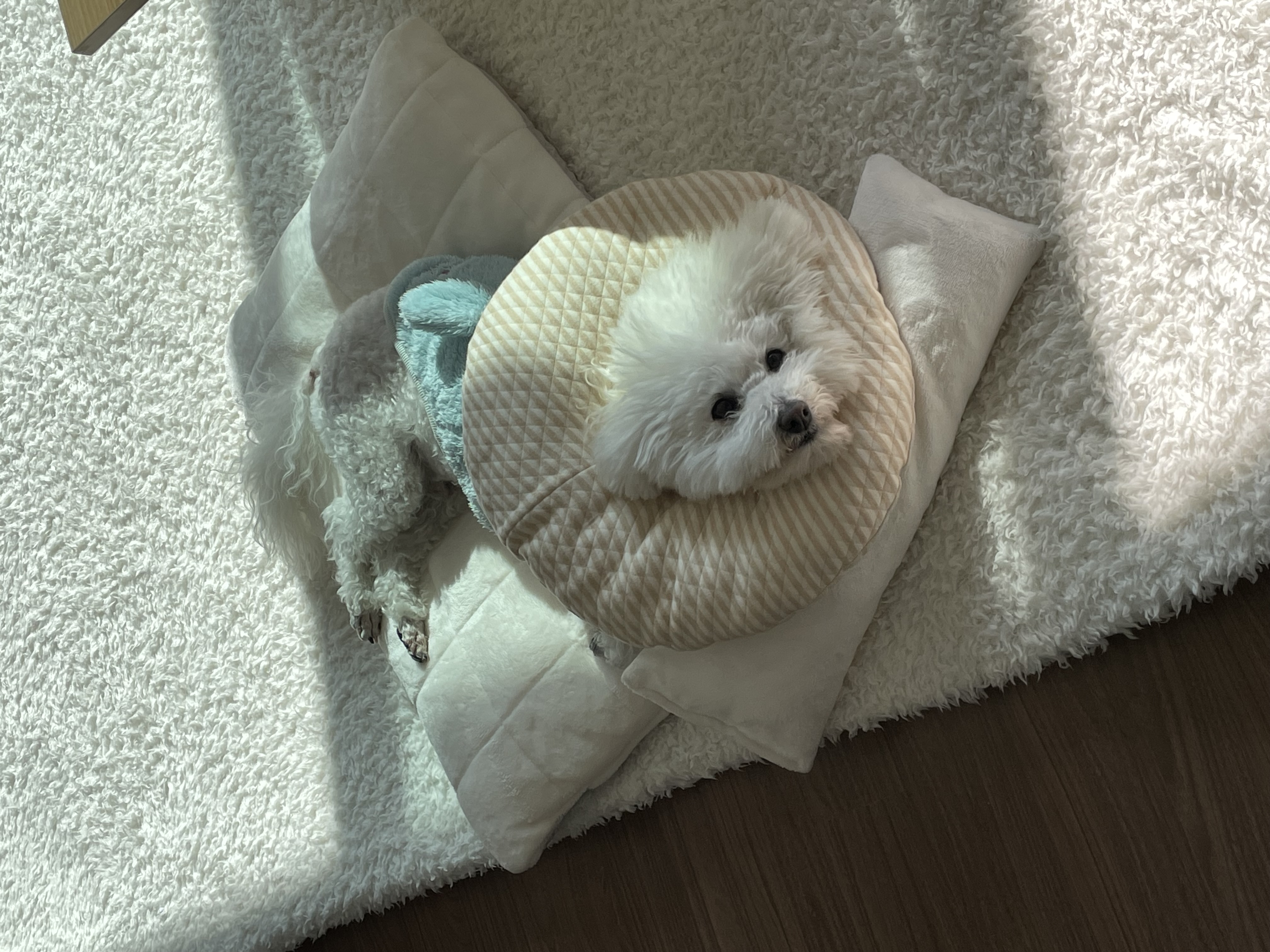 말랑이 잘 지내고 있어요!