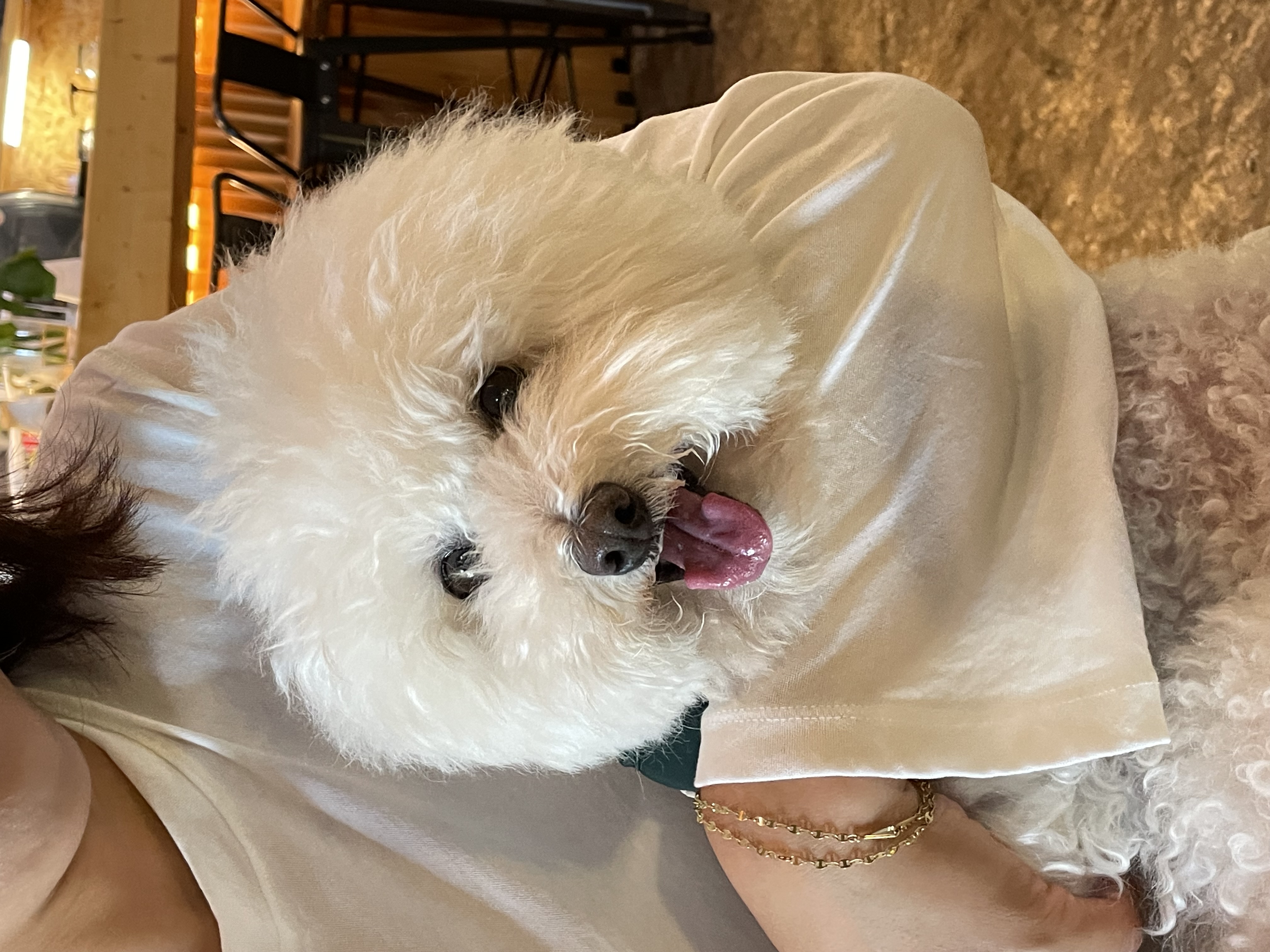 말랑이 잘 지내고 있어요!
