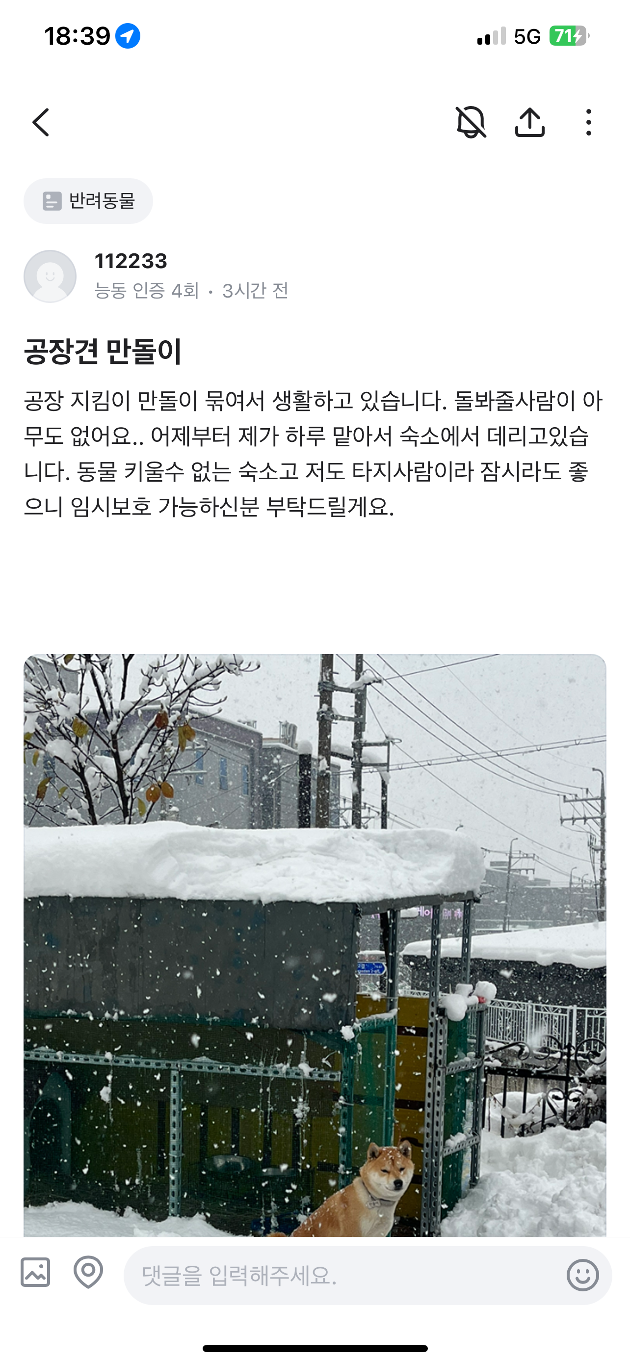 공장지킴이 방치견 구조 가능하실까요?