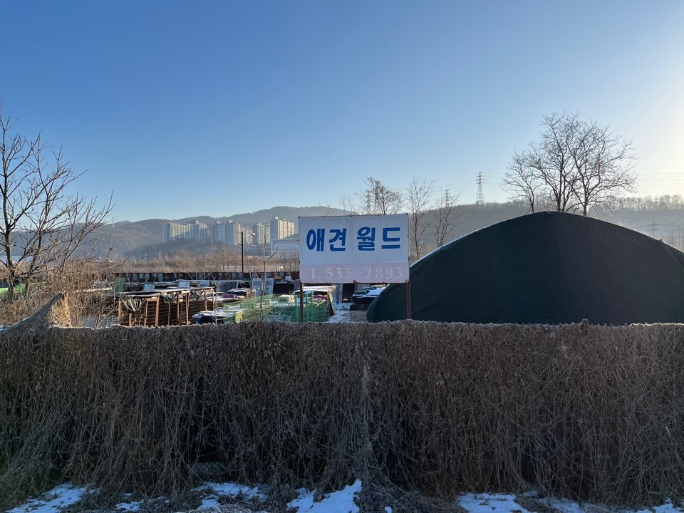 불법 번식장 발견
