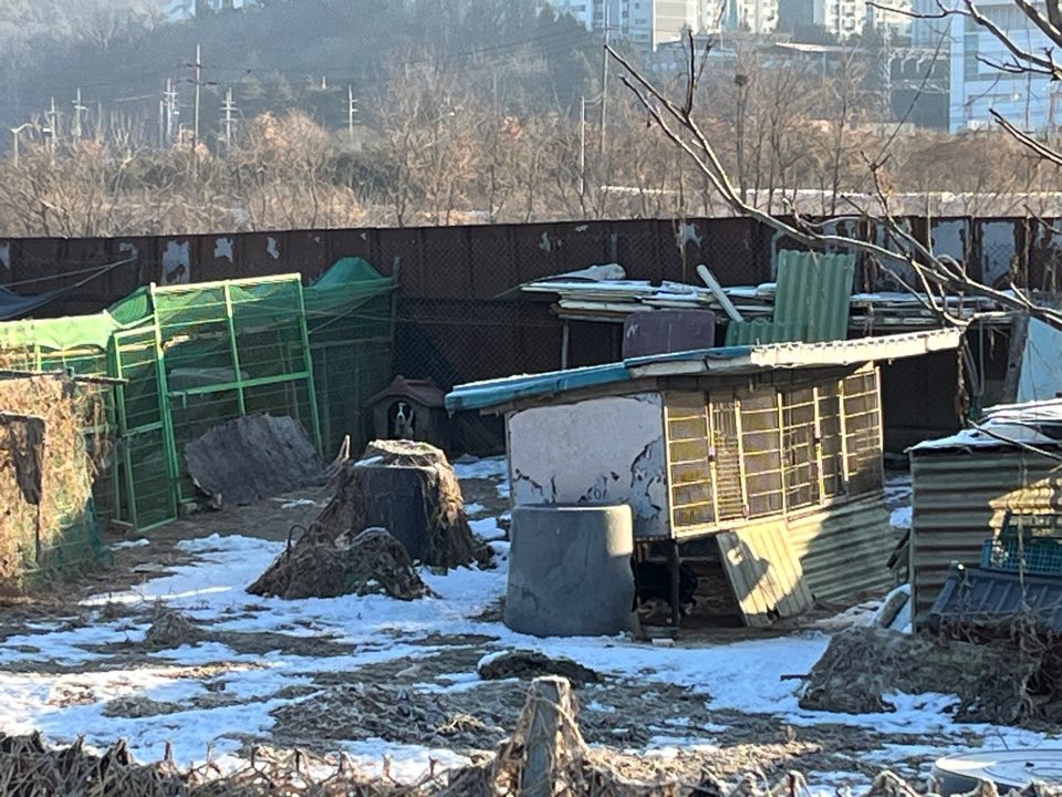 불법 번식장 발견