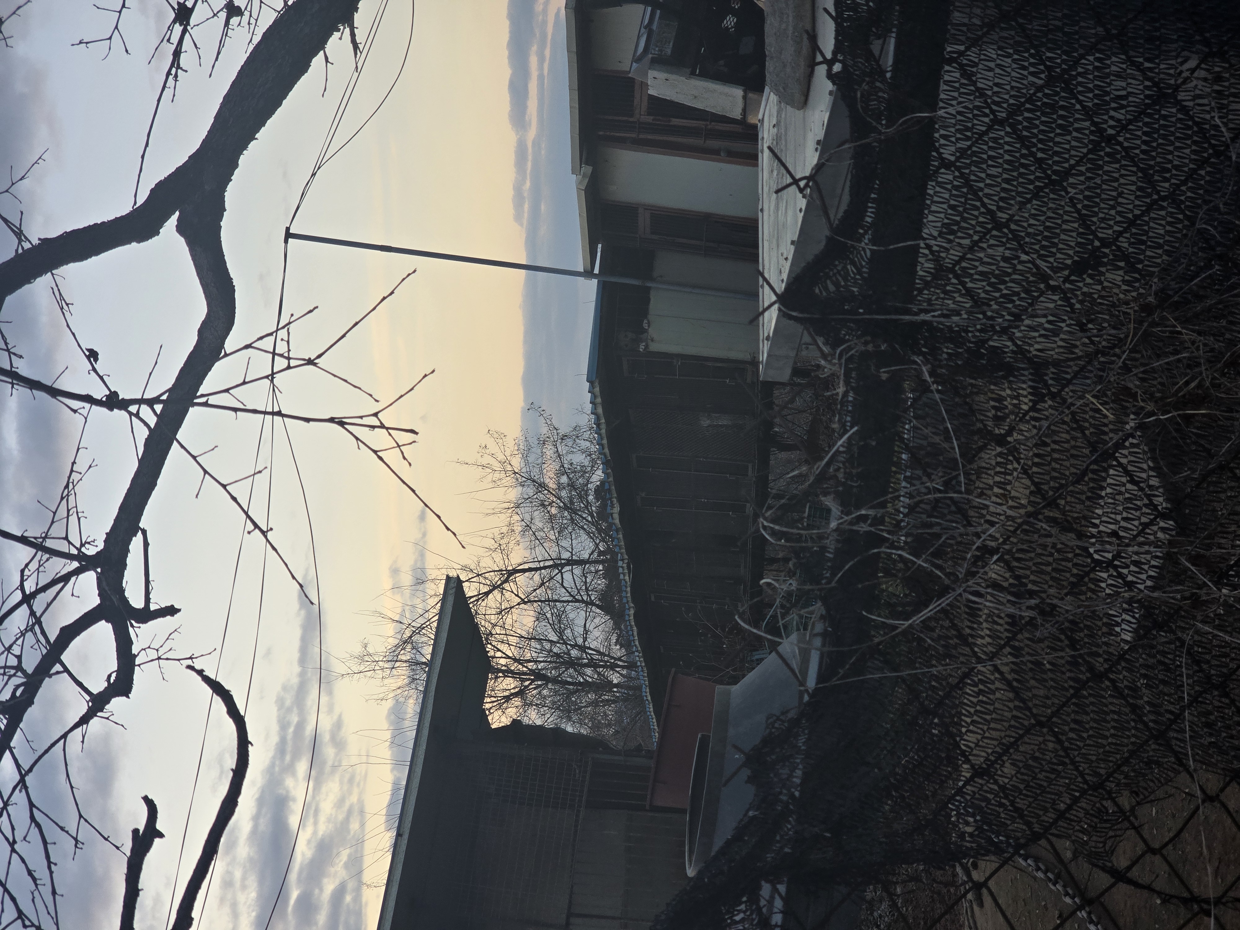 개농장 발견했습니다