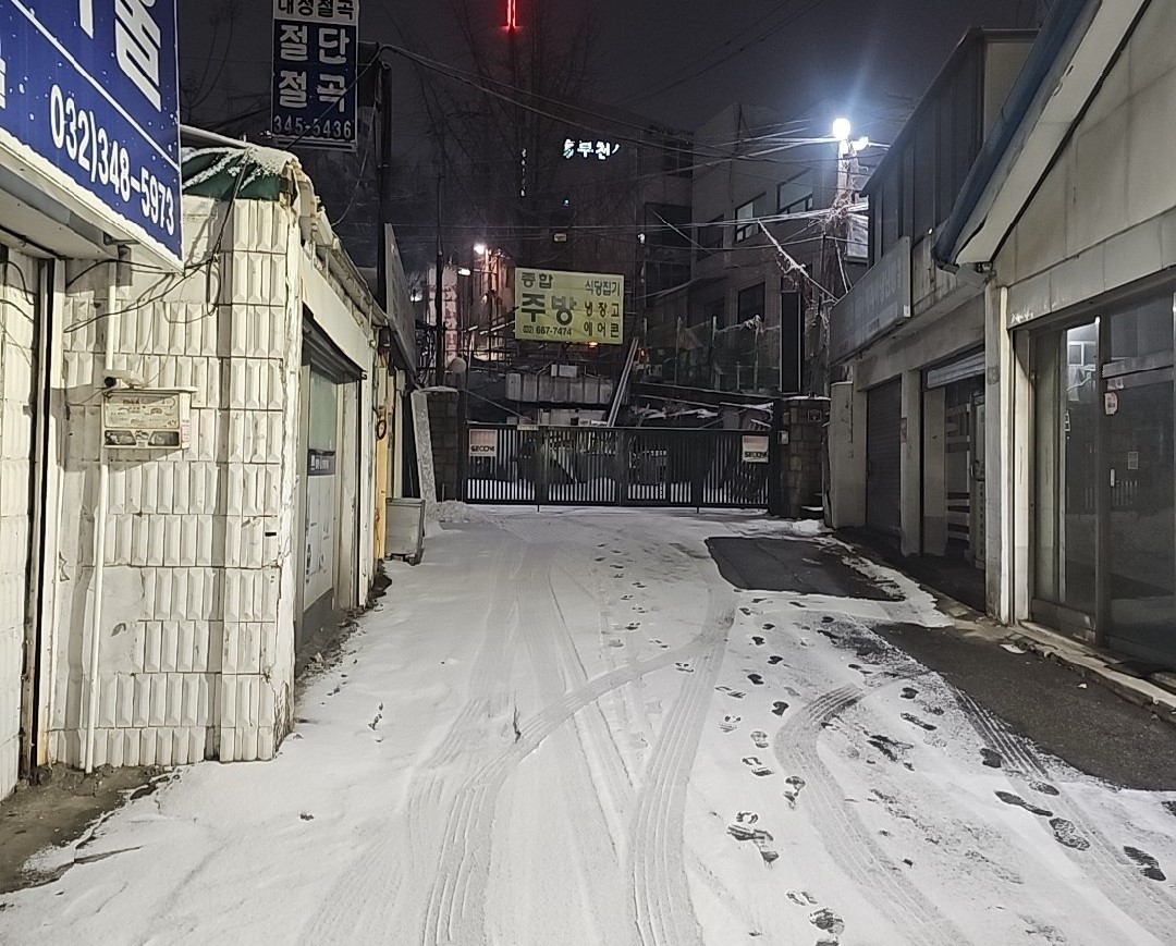 방치된 개 신고합니다.
