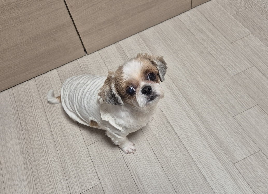 금순(구_용순)과 함께 1년 후 소식
