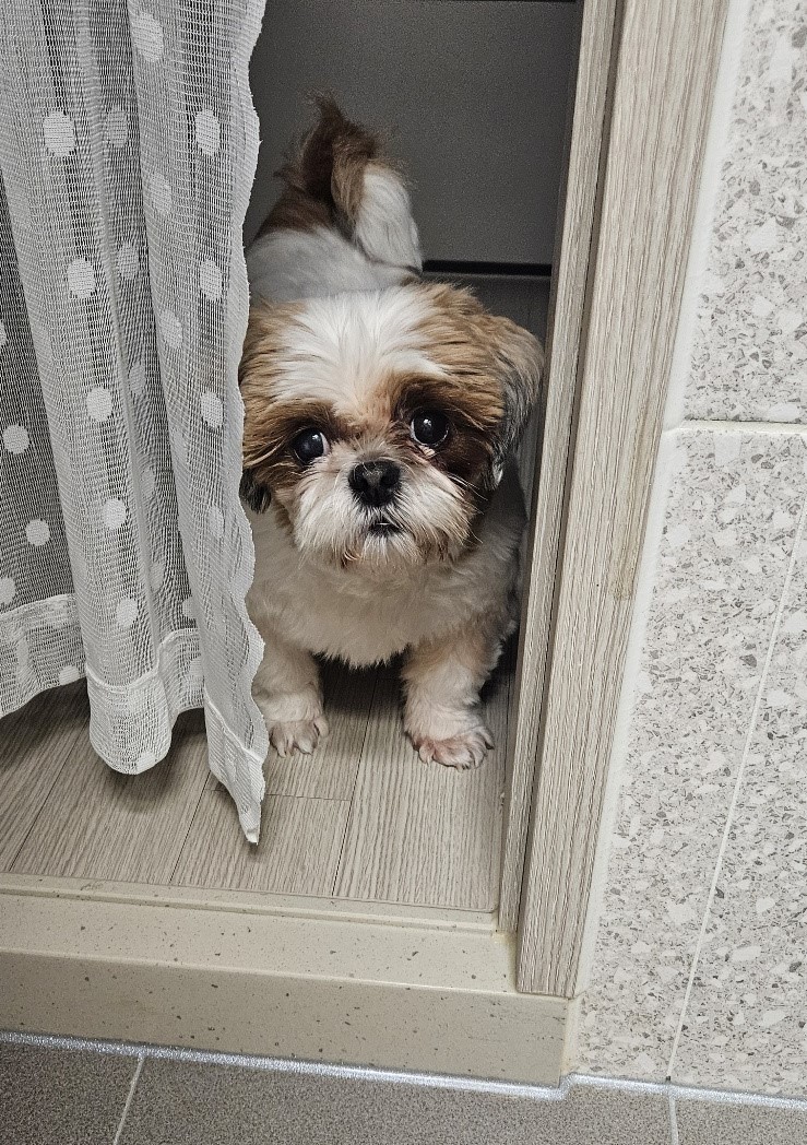 금순(구_용순)과 함께 1년 후 소식