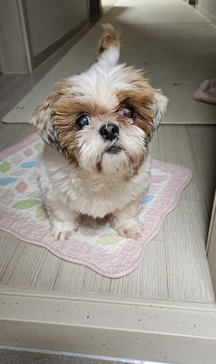 금순(구_용순)과 함께 1년 후 소식