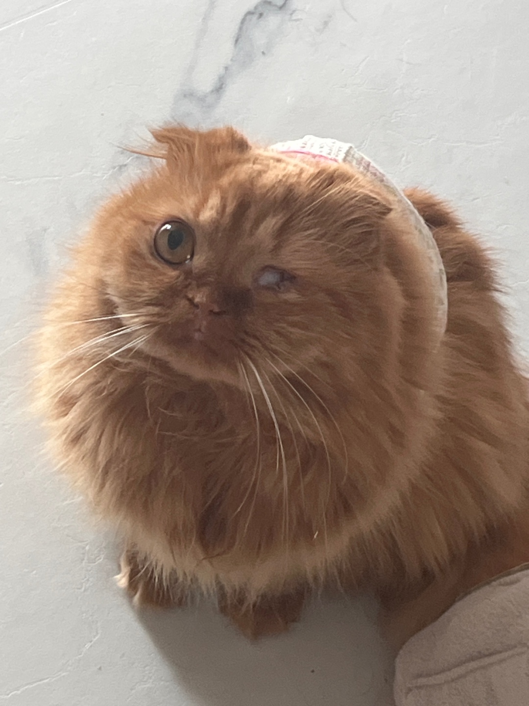 돌고 ‘도라’ 온 만큼 잘 살구 있어요💖