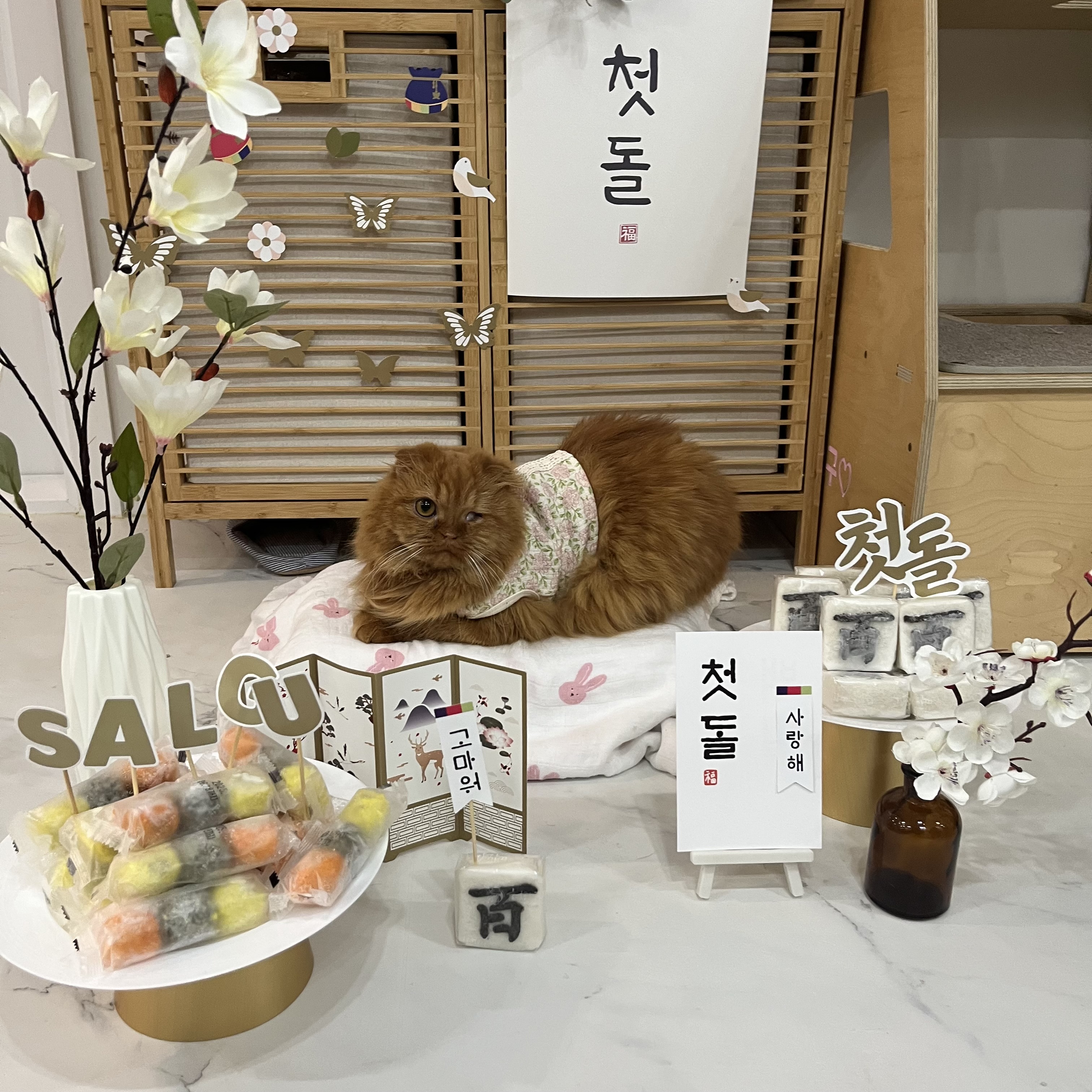 돌고 ‘도라’ 온 만큼 잘 살구 있어요💖