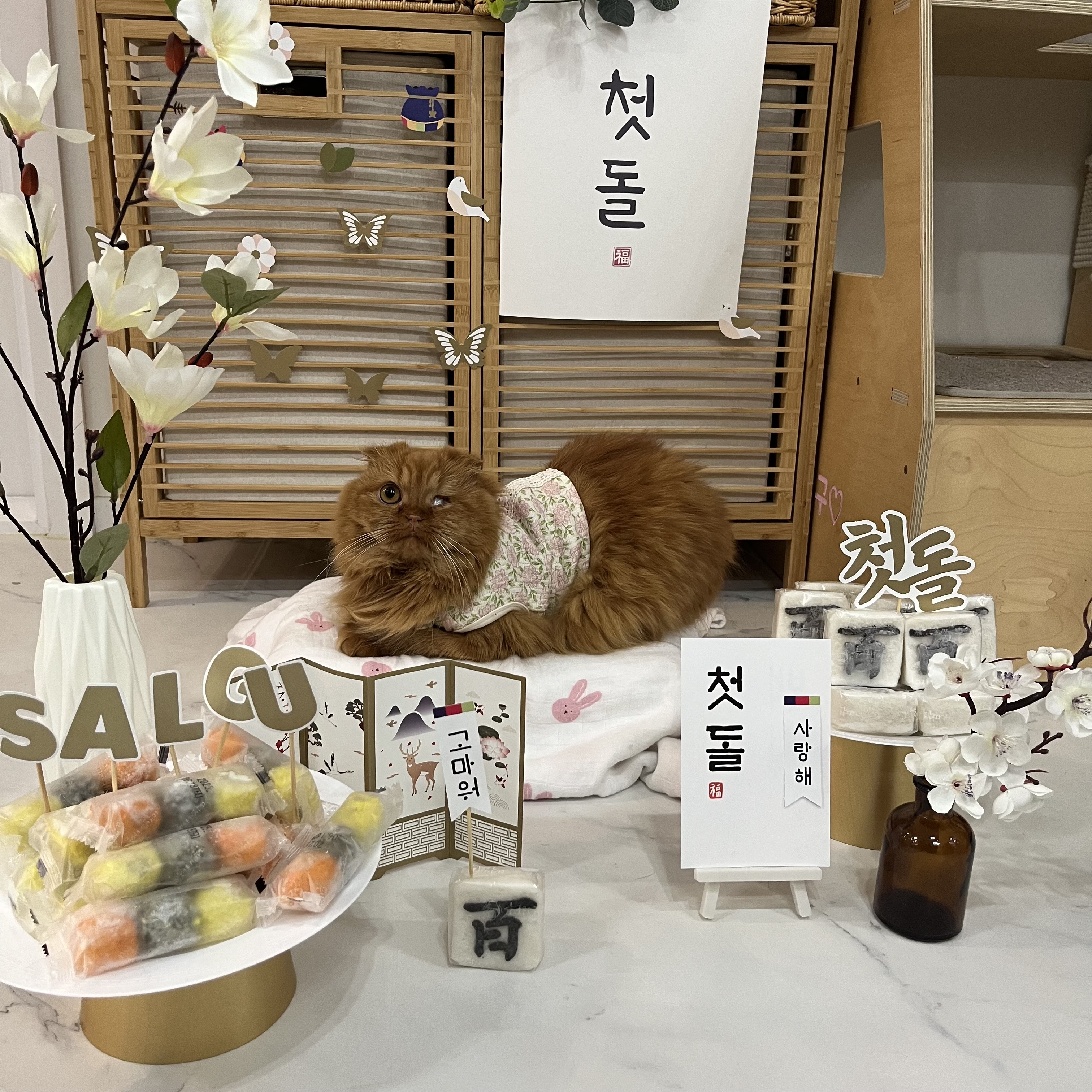돌고 ‘도라’ 온 만큼 잘 살구 있어요💖