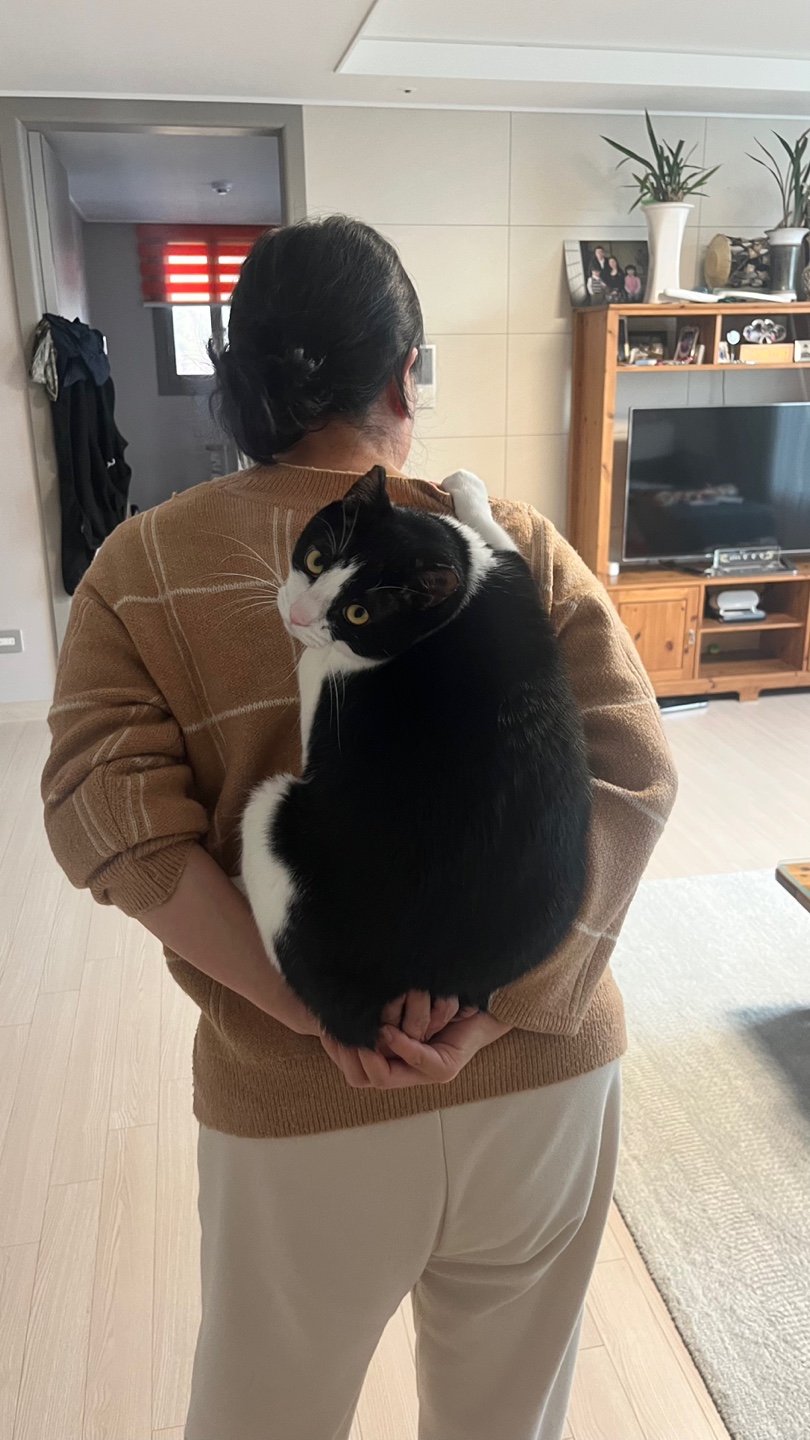 깜자 근황