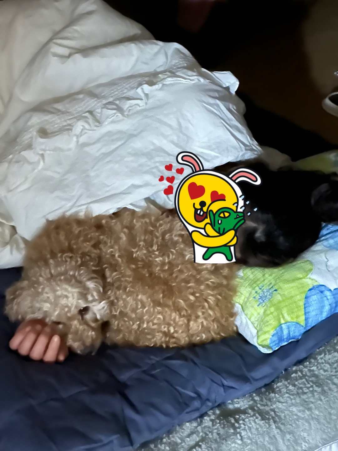 배순이와 석달차^^