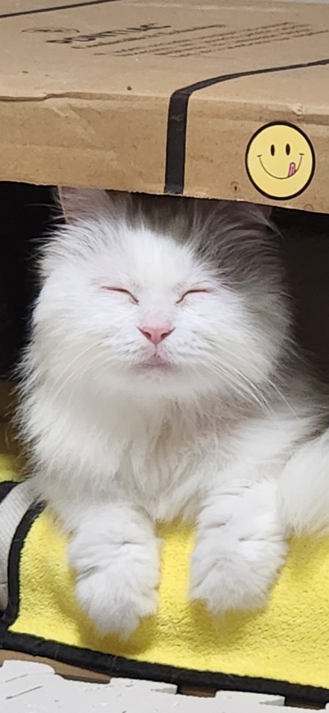 모델이 2년 이네요!!